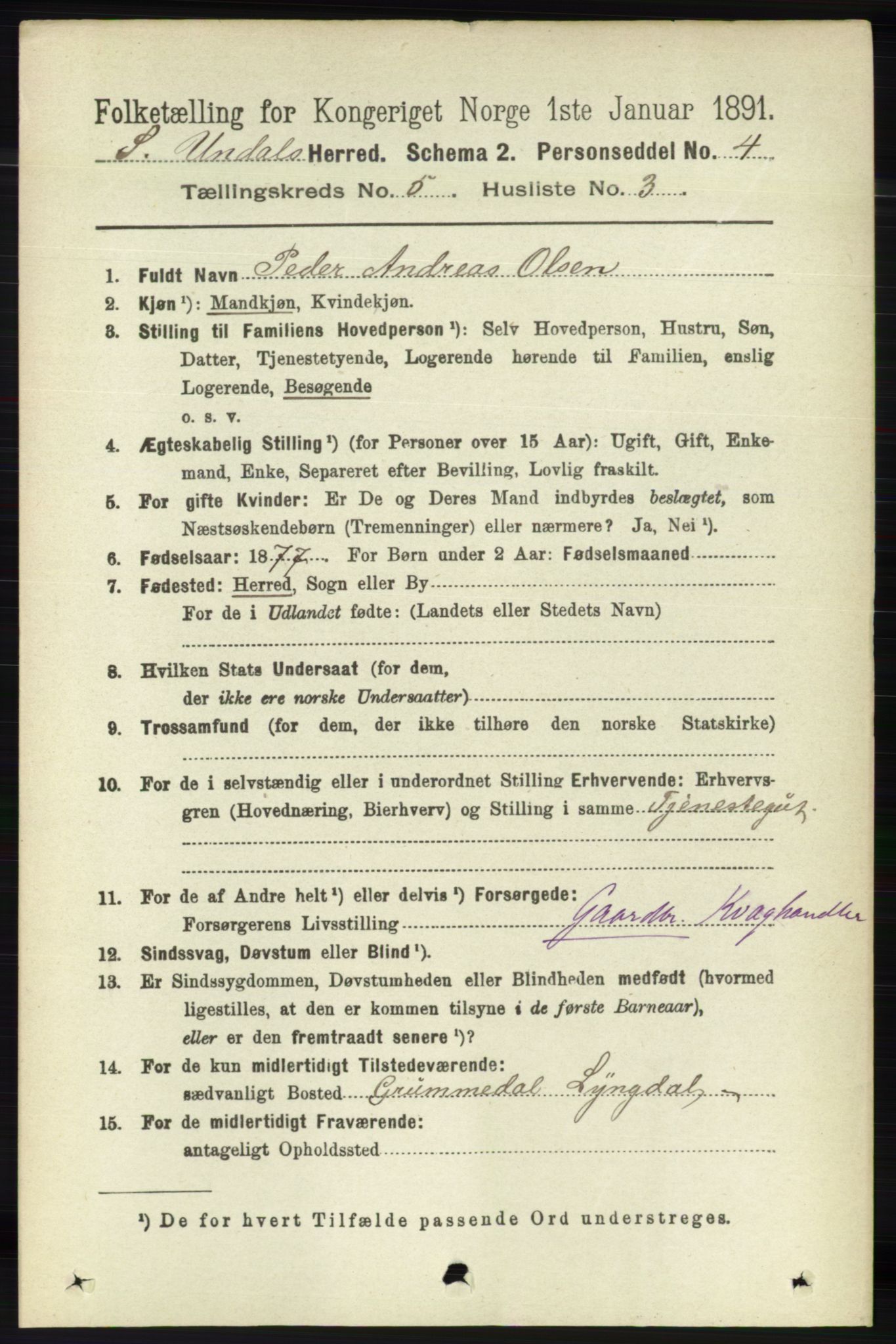 RA, 1891 census for 1029 Sør-Audnedal, 1891, p. 1917