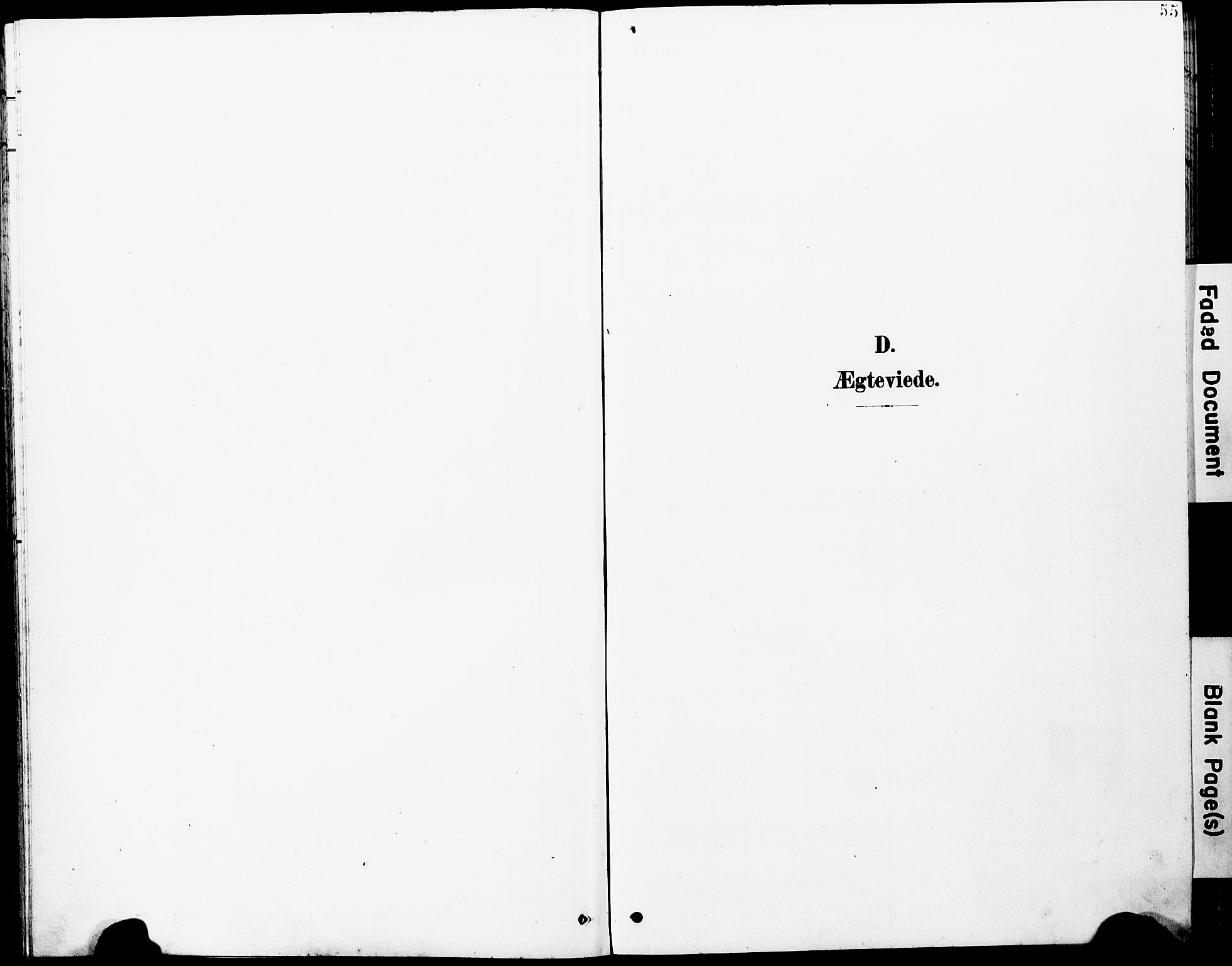 Ministerialprotokoller, klokkerbøker og fødselsregistre - Møre og Romsdal, SAT/A-1454/597/L1065: Parish register (copy) no. 597C02, 1899-1930, p. 55