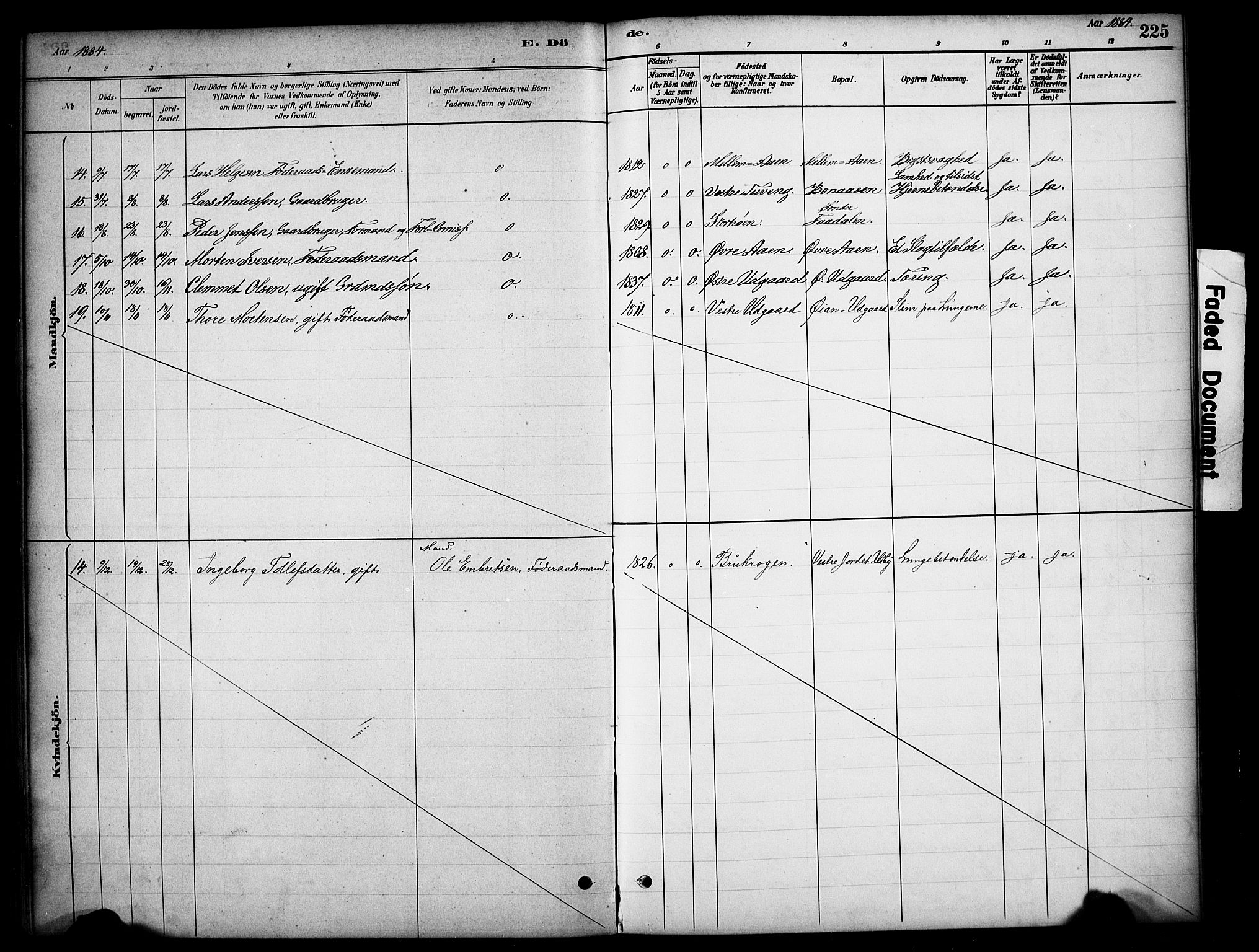 Tynset prestekontor, SAH/PREST-058/H/Ha/Hab/L0006: Parish register (copy) no. 6, 1880-1899, p. 225