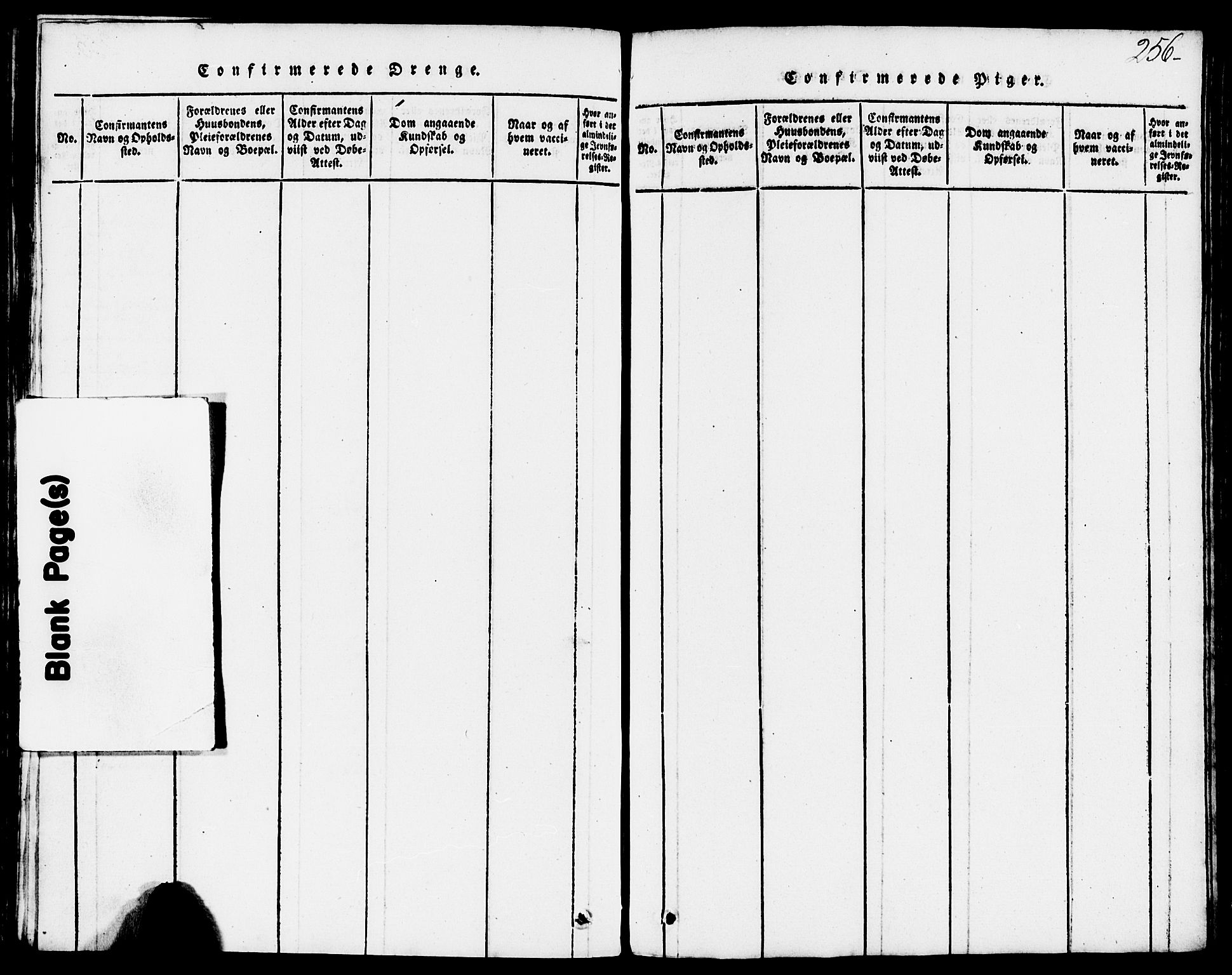 Domkirken sokneprestkontor, AV/SAST-A-101812/001/30/30BB/L0008: Parish register (copy) no. B 8, 1816-1821, p. 256