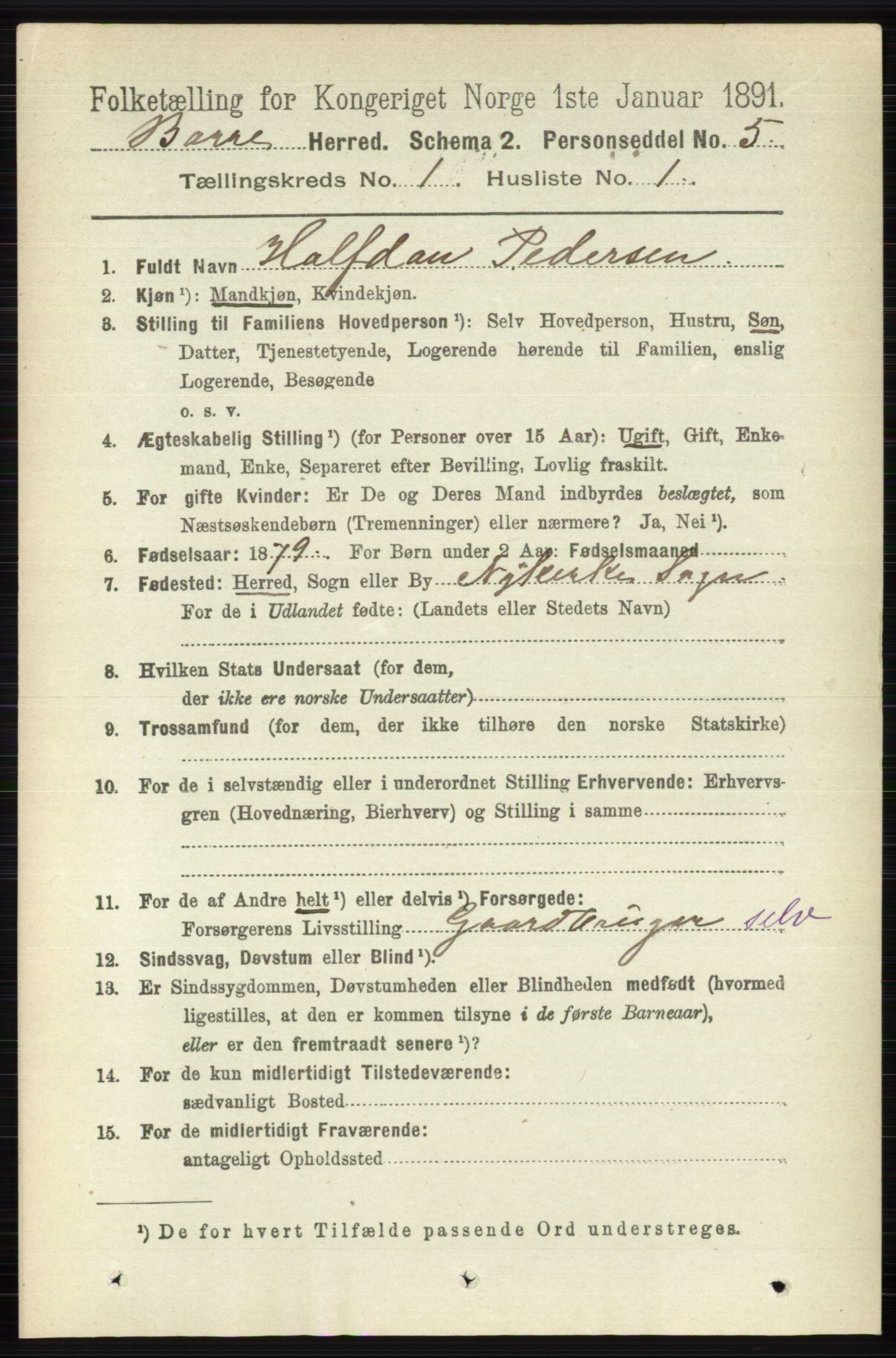 RA, 1891 census for 0717 Borre, 1891, p. 143