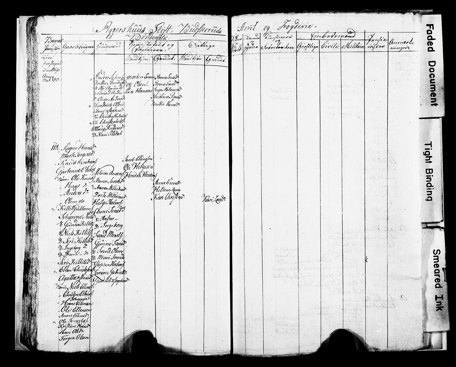 SAKO, 1815 Census for Lier parish, 1815, p. 41