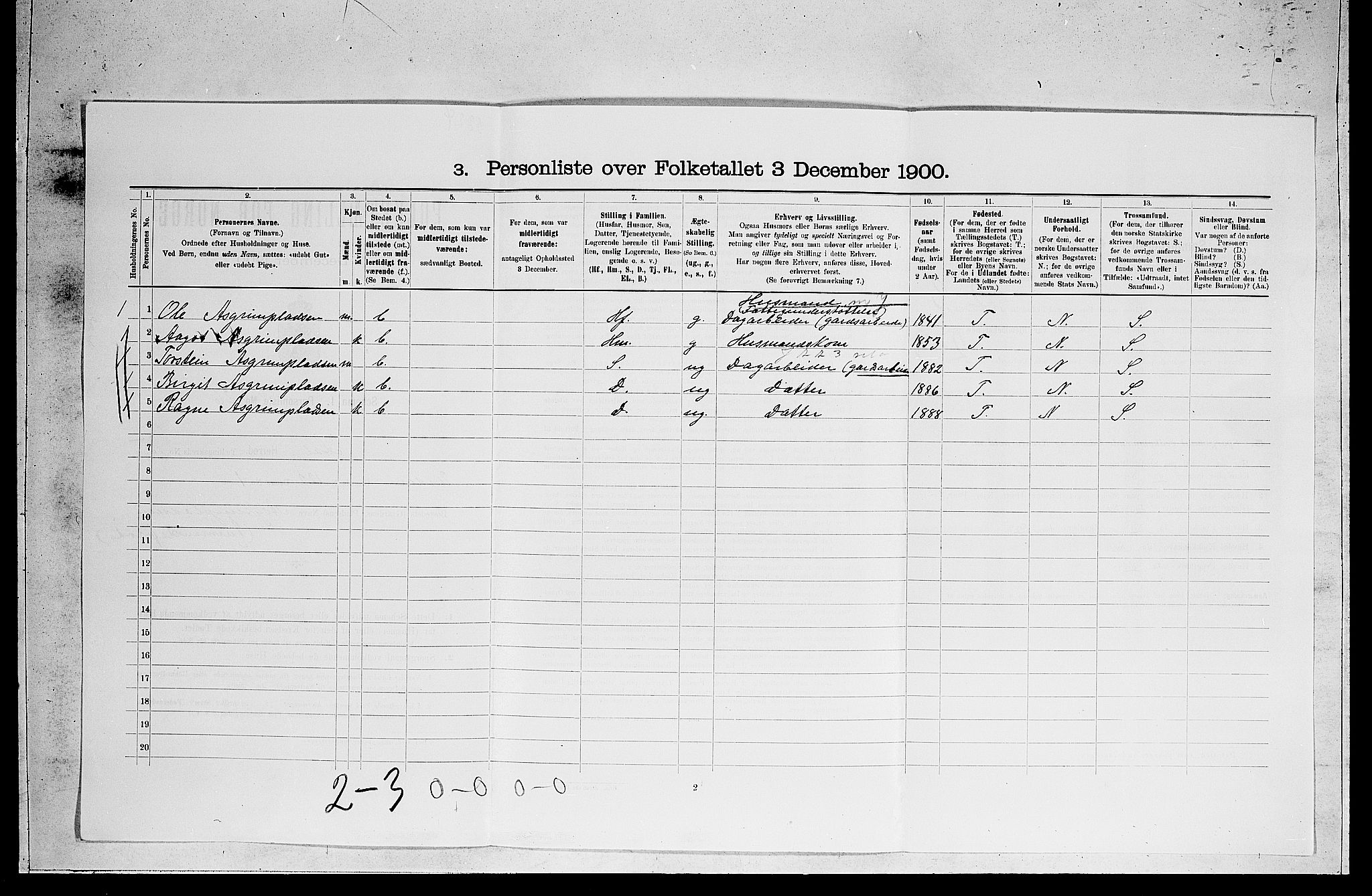 RA, 1900 census for Ål, 1900, p. 1216