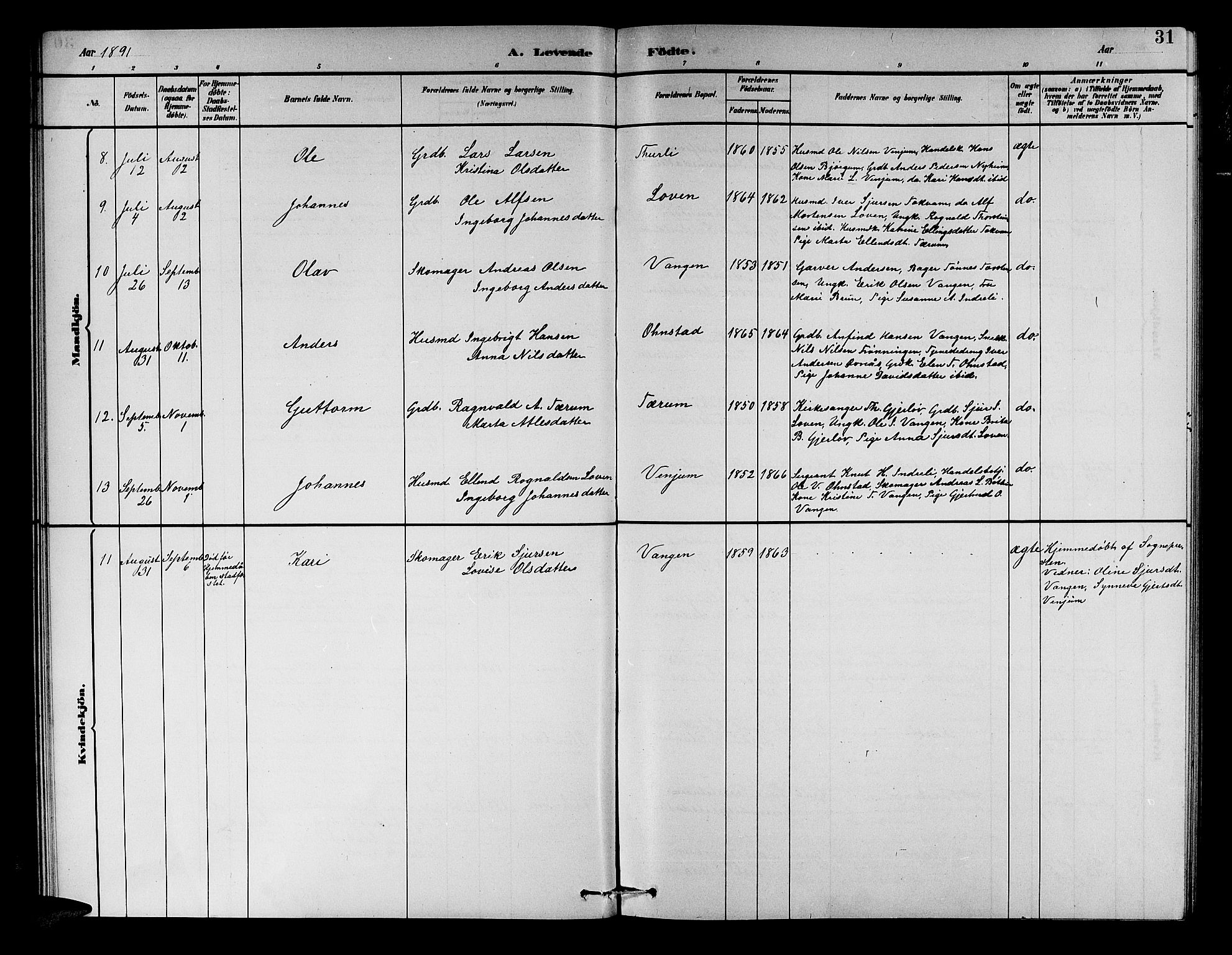 Aurland sokneprestembete, AV/SAB-A-99937/H/Hb/Hba/L0002: Parish register (copy) no. A 2, 1880-1895, p. 31
