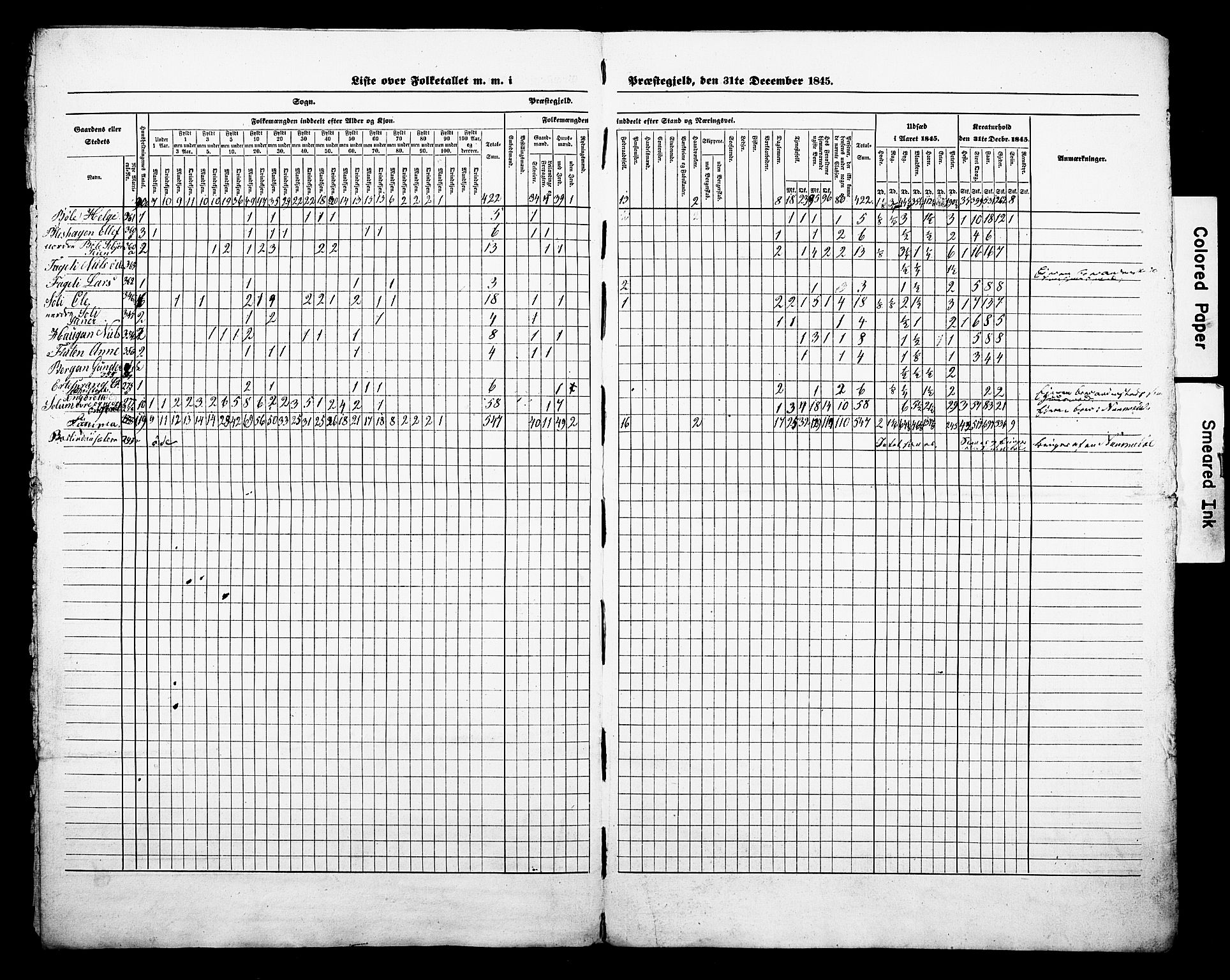 , Census 1845 for Sigdal, 1845, p. 11