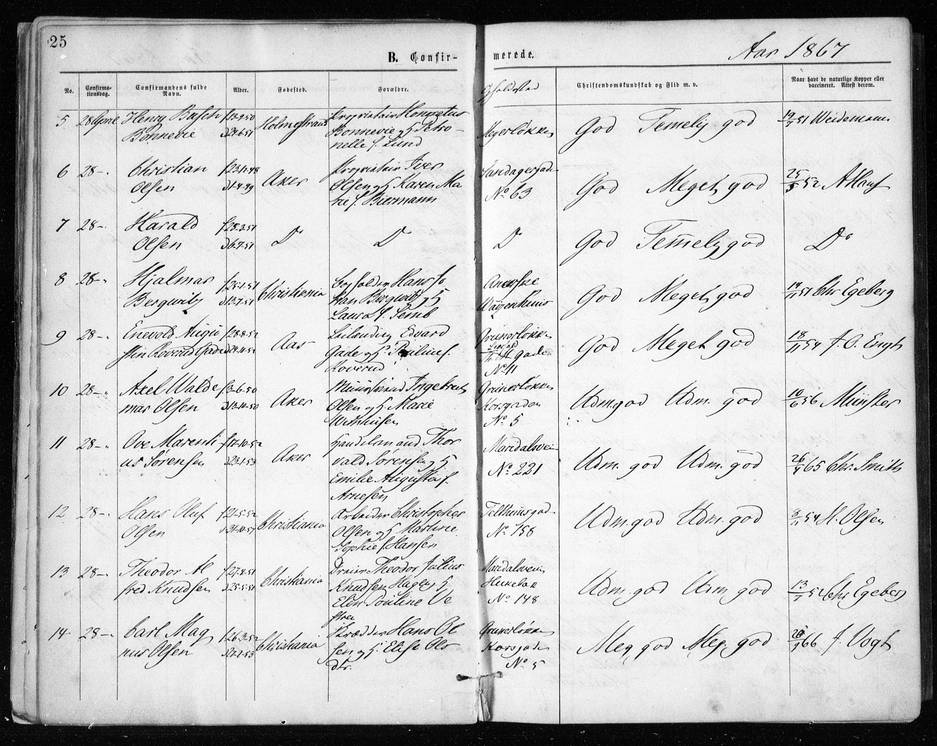 Gamle Aker prestekontor Kirkebøker, AV/SAO-A-10617a/F/L0003: Parish register (official) no. 3, 1865-1873, p. 25