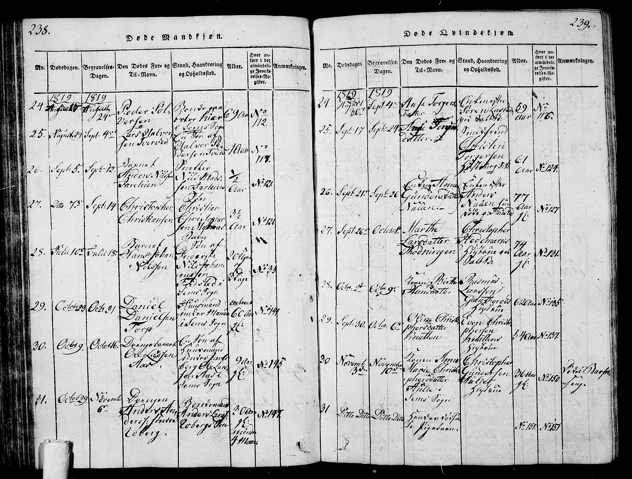 Sem kirkebøker, AV/SAKO-A-5/G/Ga/L0001: Parish register (copy) no. I 1, 1814-1825, p. 238-239