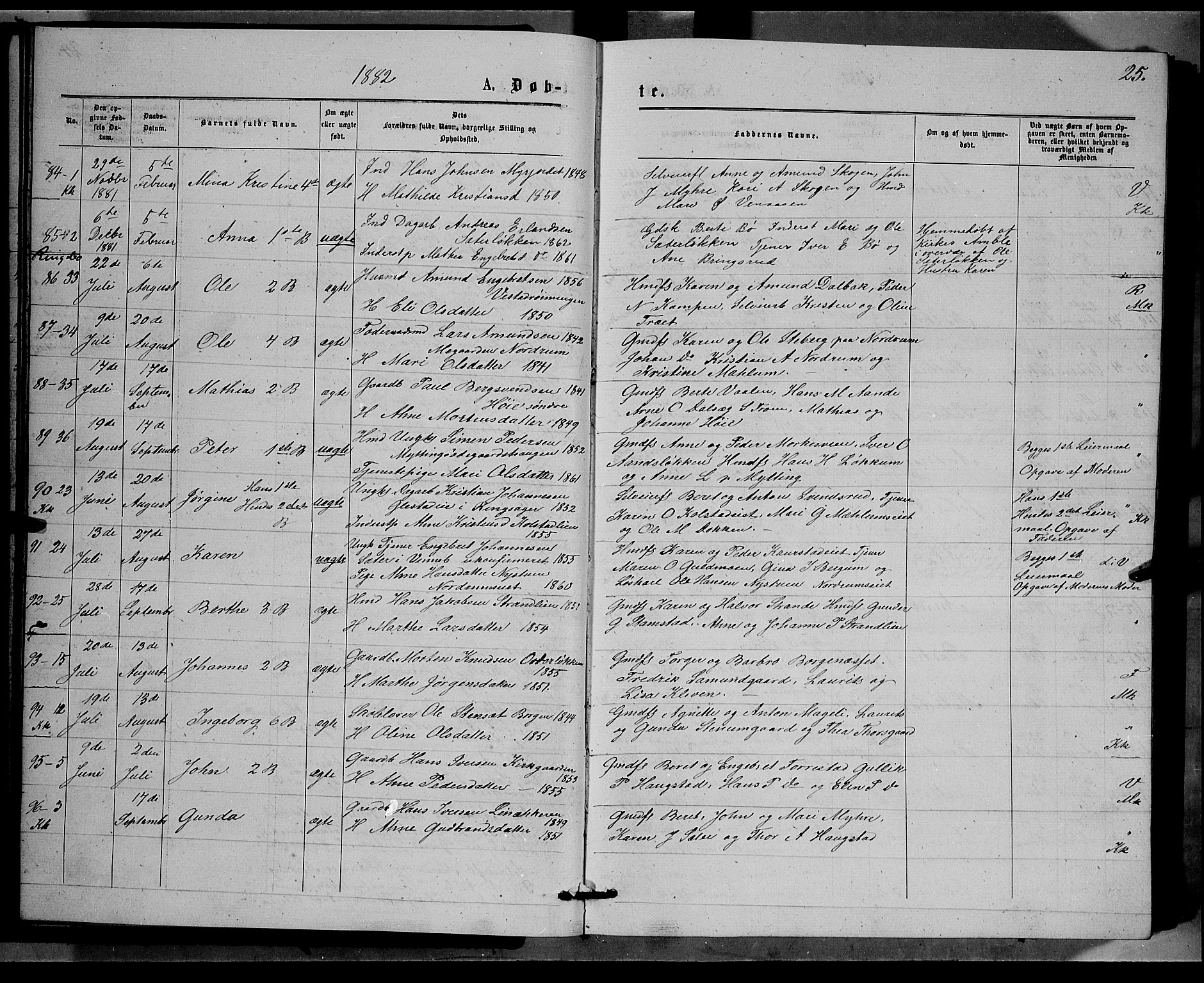 Ringebu prestekontor, AV/SAH-PREST-082/H/Ha/Hab/L0006: Parish register (copy) no. 6, 1880-1898, p. 25