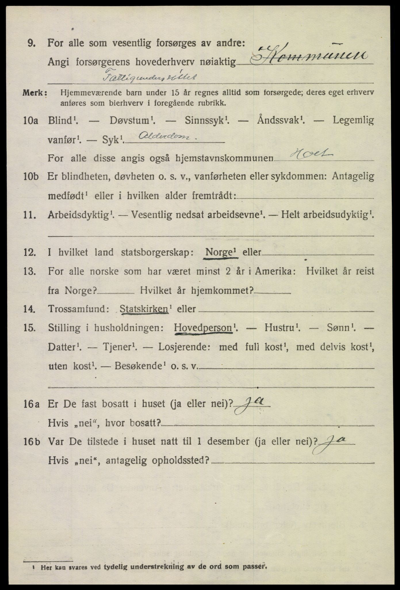 SAK, 1920 census for Holt, 1920, p. 2095
