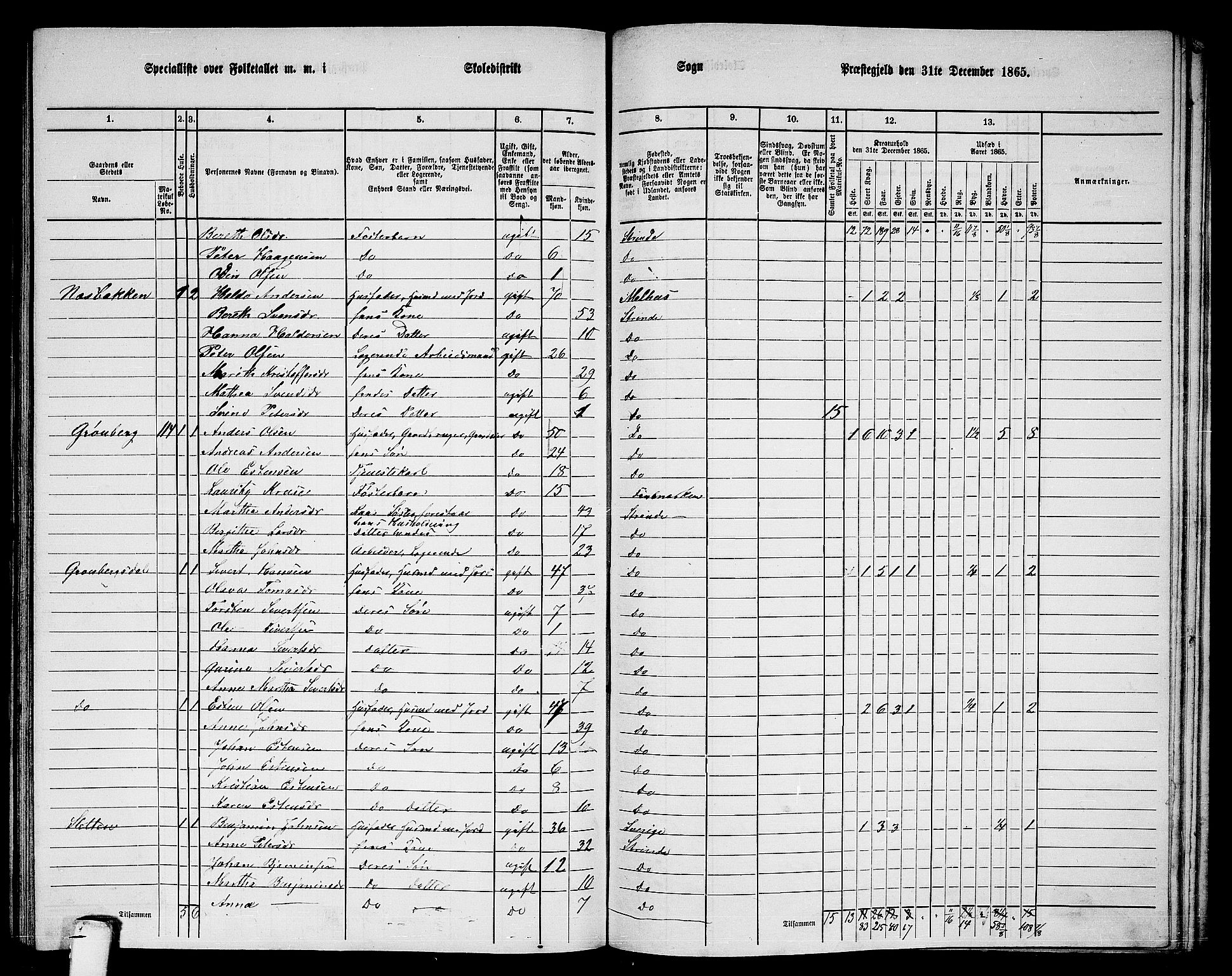 RA, 1865 census for Strinda, 1865, p. 236