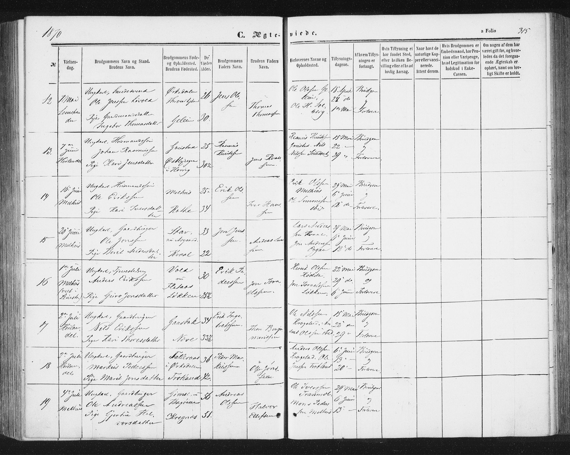 Ministerialprotokoller, klokkerbøker og fødselsregistre - Sør-Trøndelag, AV/SAT-A-1456/691/L1077: Parish register (official) no. 691A09, 1862-1873, p. 315