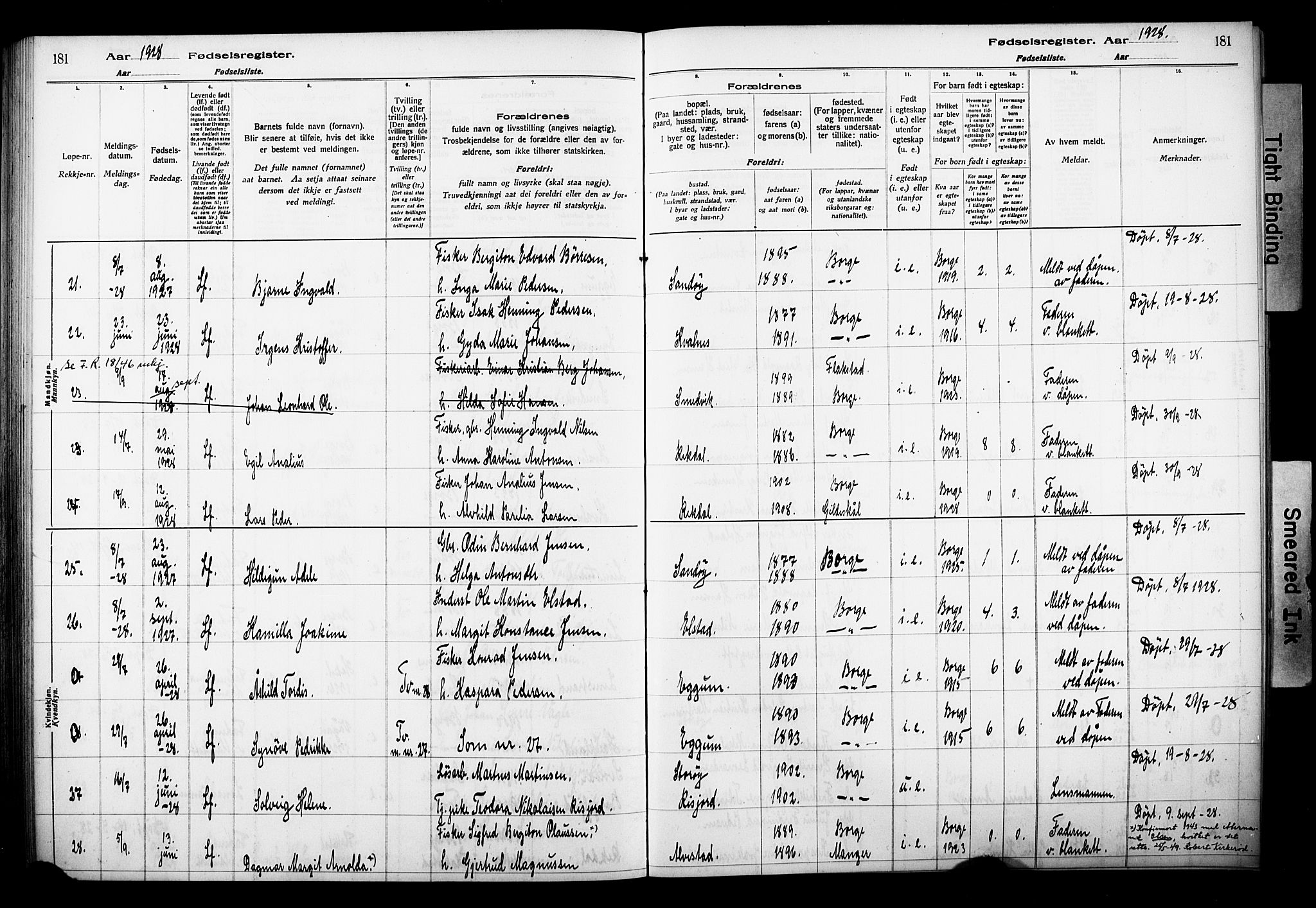 Ministerialprotokoller, klokkerbøker og fødselsregistre - Nordland, SAT/A-1459/880/L1145: Birth register no. 880.II.4.1, 1916-1929, p. 181