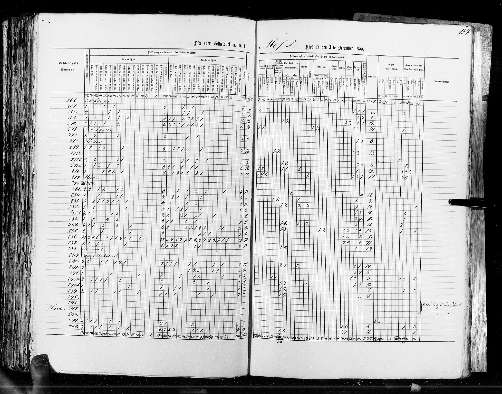 RA, Census 1855, vol. 7: Fredrikshald-Kragerø, 1855, p. 154