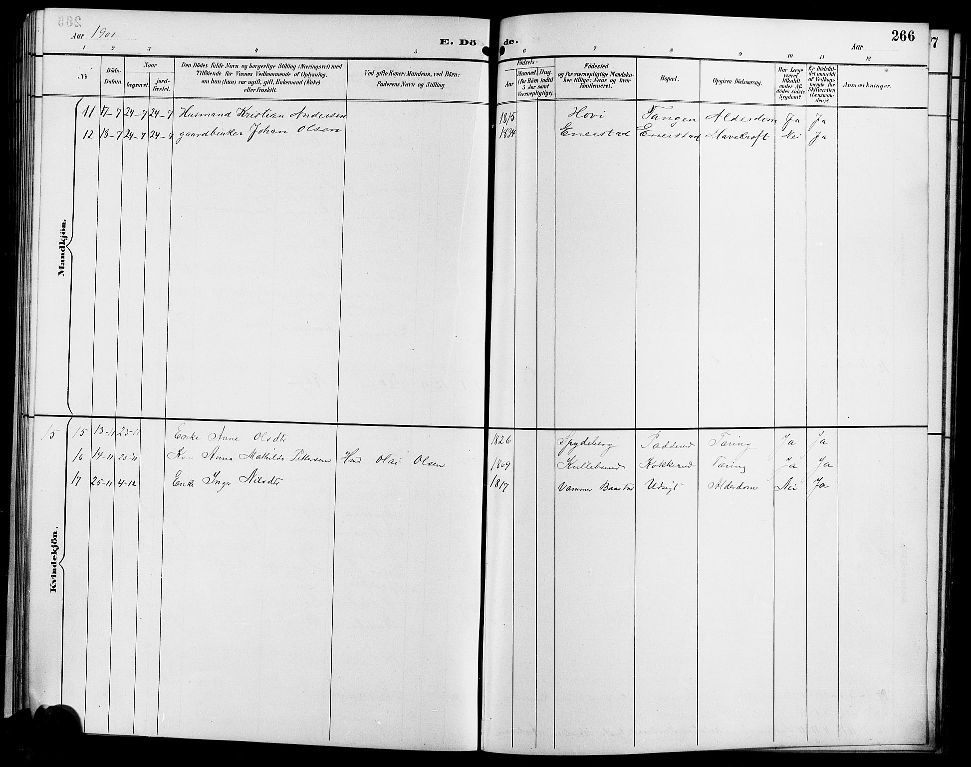 Enebakk prestekontor Kirkebøker, SAO/A-10171c/G/Ga/L0006: Parish register (copy) no. I 6, 1889-1911, p. 266