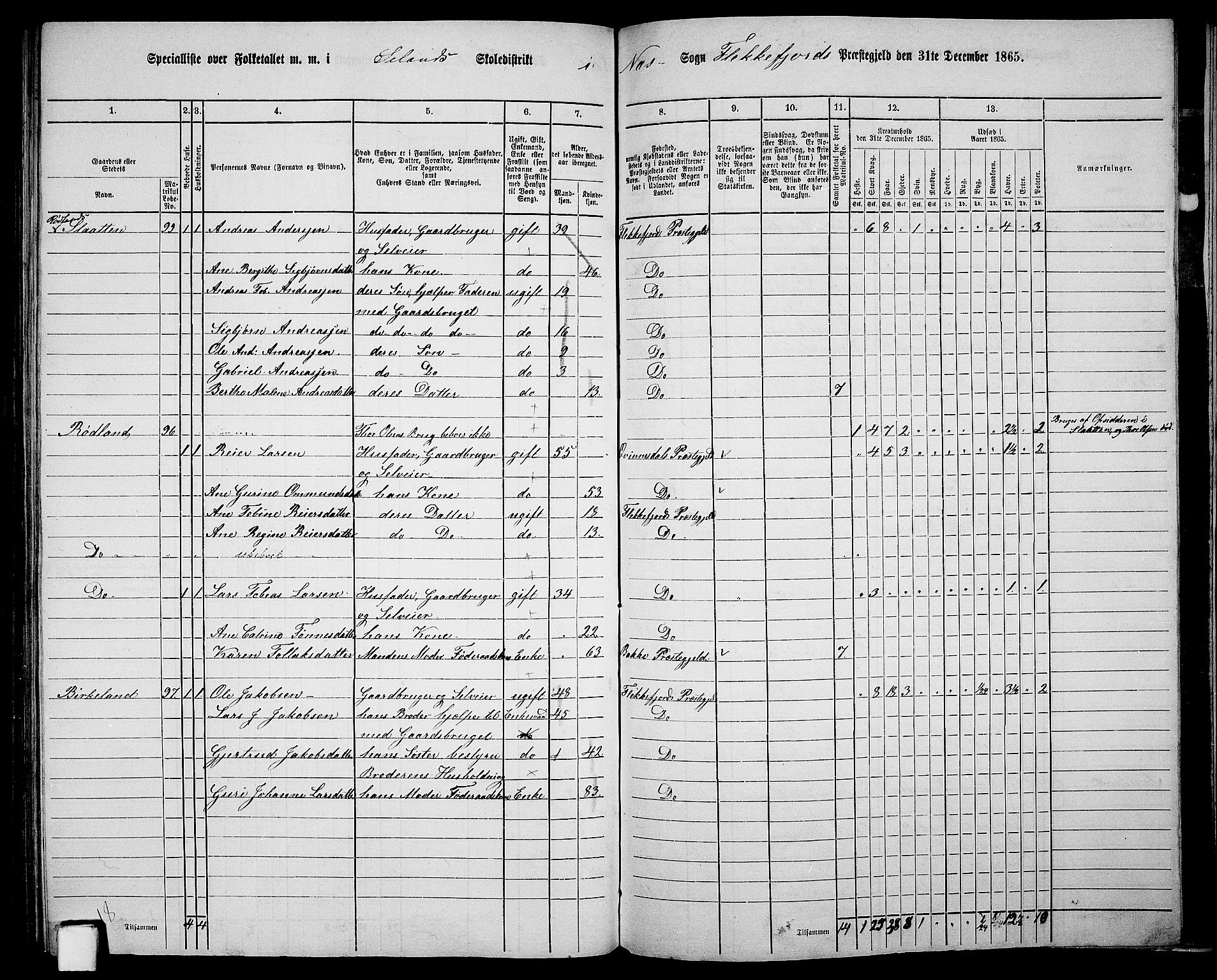 RA, 1865 census for Flekkefjord/Nes og Hidra, 1865, p. 161