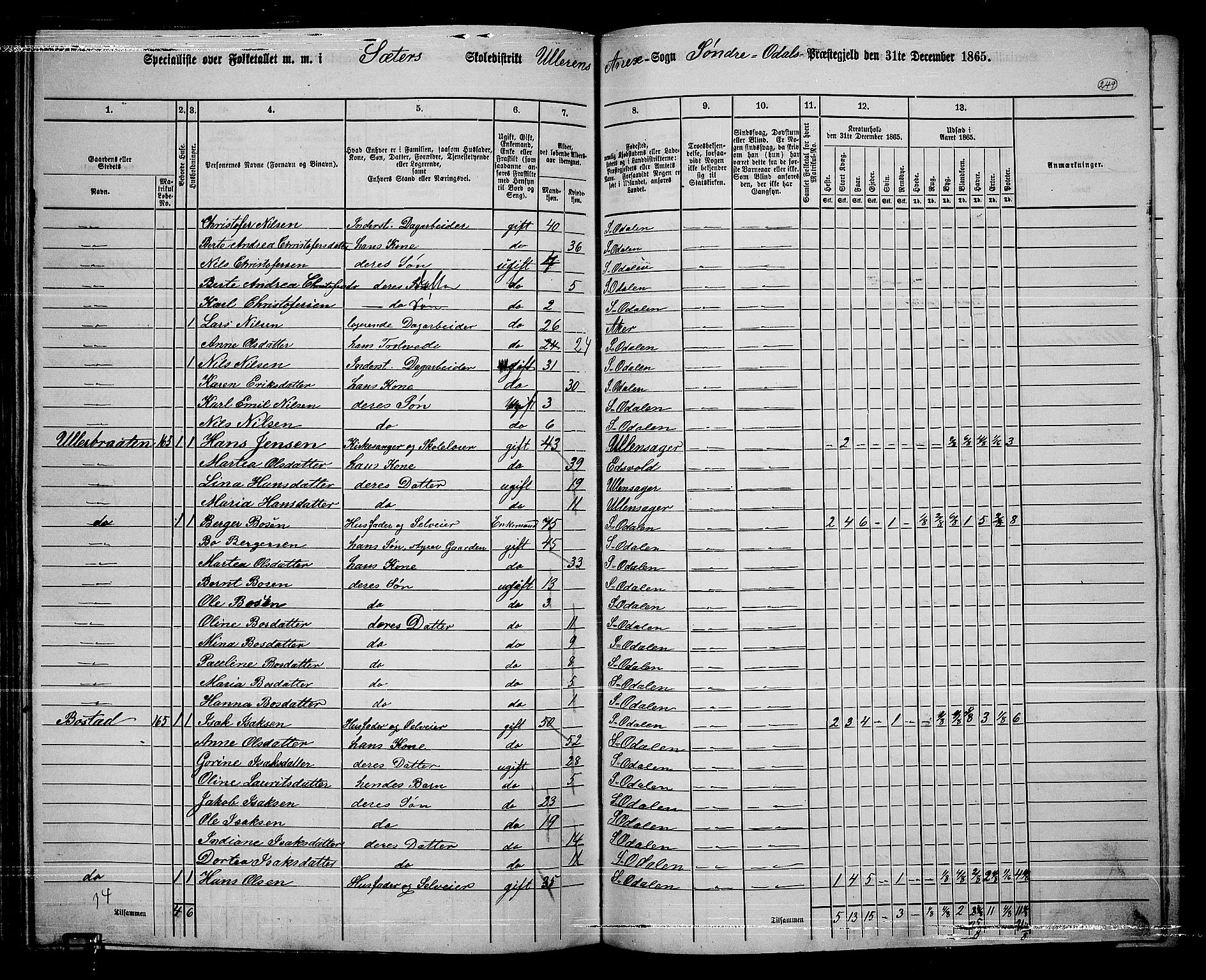 RA, 1865 census for Sør-Odal, 1865, p. 219