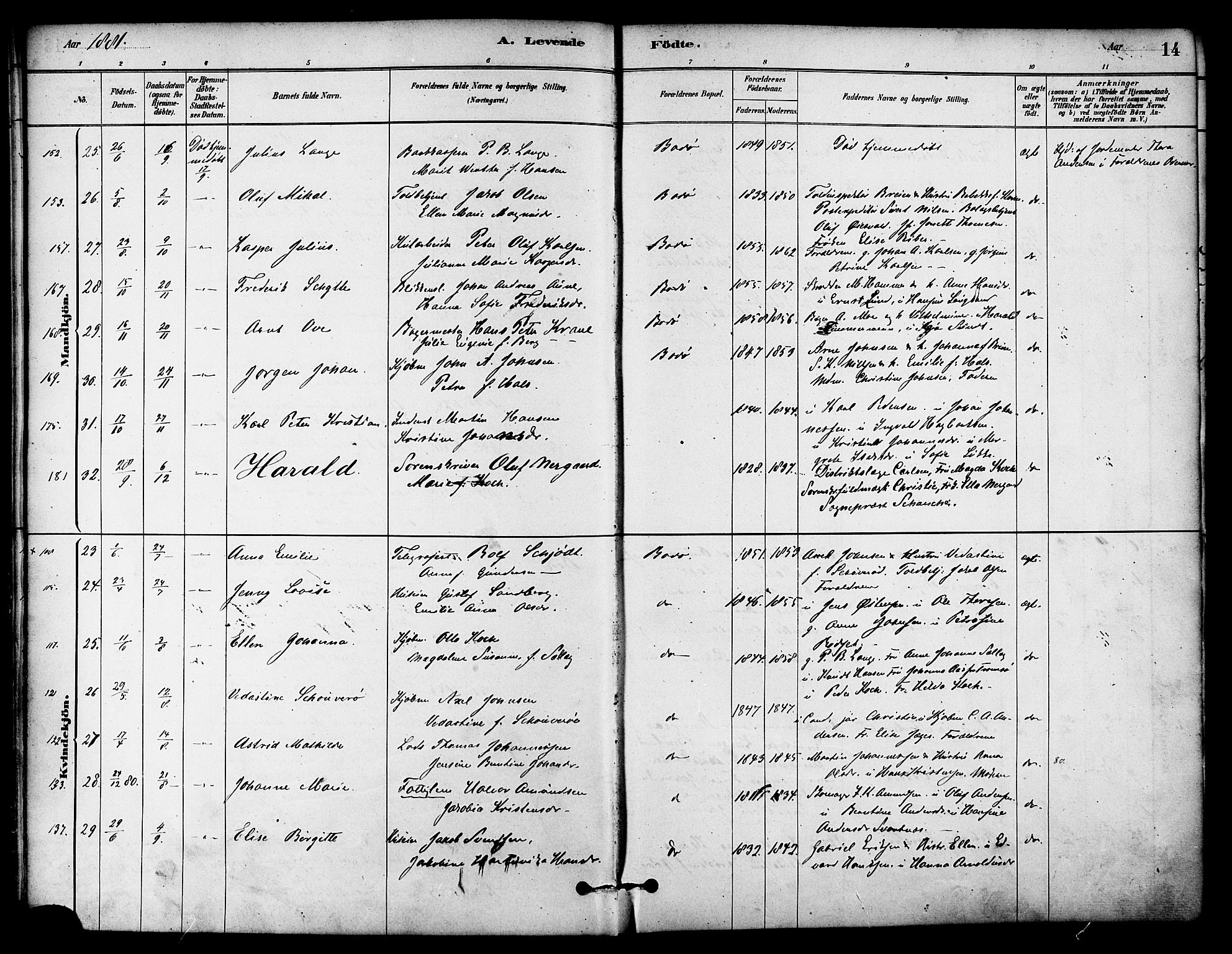 Ministerialprotokoller, klokkerbøker og fødselsregistre - Nordland, AV/SAT-A-1459/801/L0030: Parish register (copy) no. 801C05, 1879-1887, p. 14