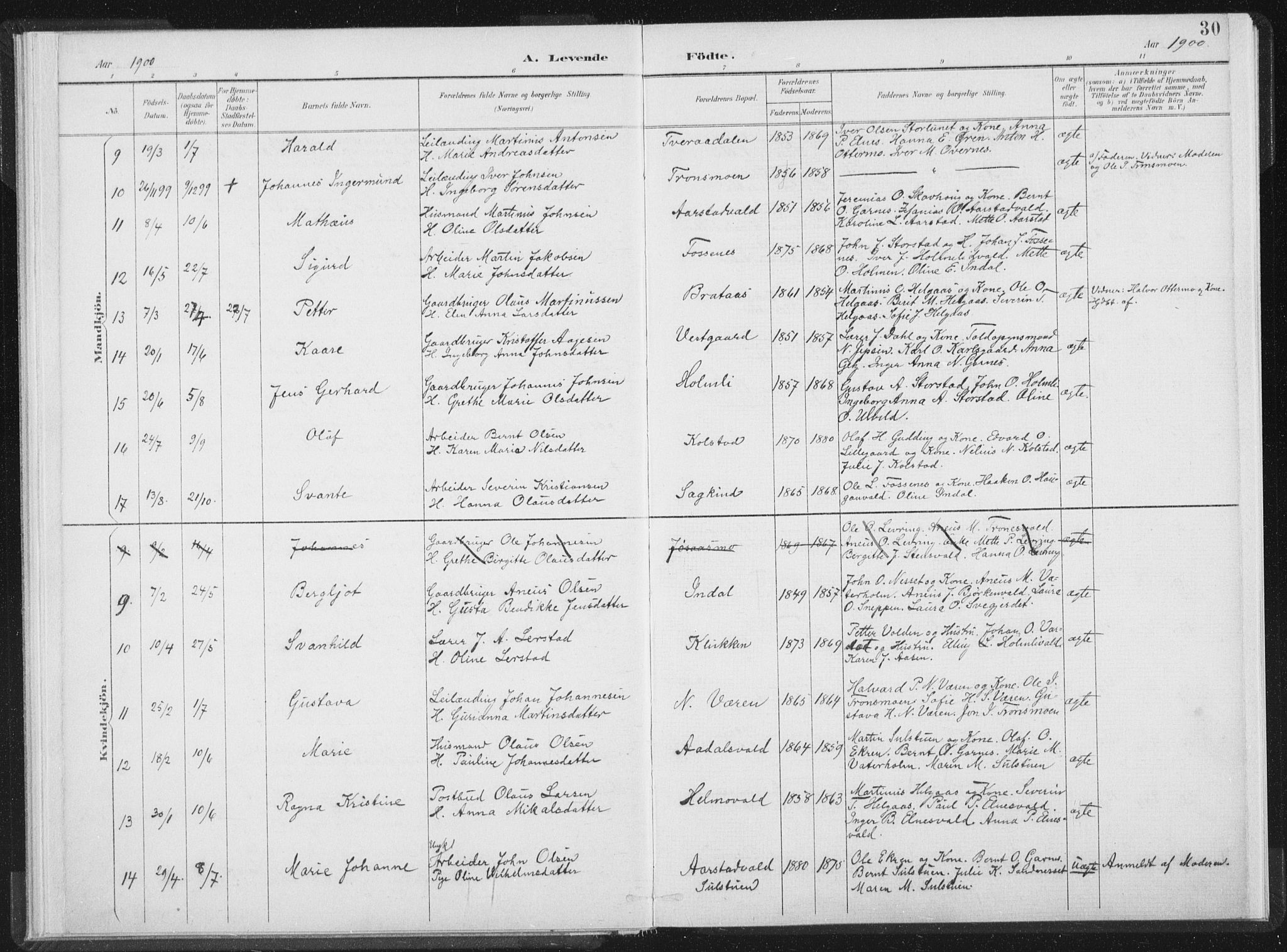 Ministerialprotokoller, klokkerbøker og fødselsregistre - Nord-Trøndelag, AV/SAT-A-1458/724/L0263: Parish register (official) no. 724A01, 1891-1907, p. 30