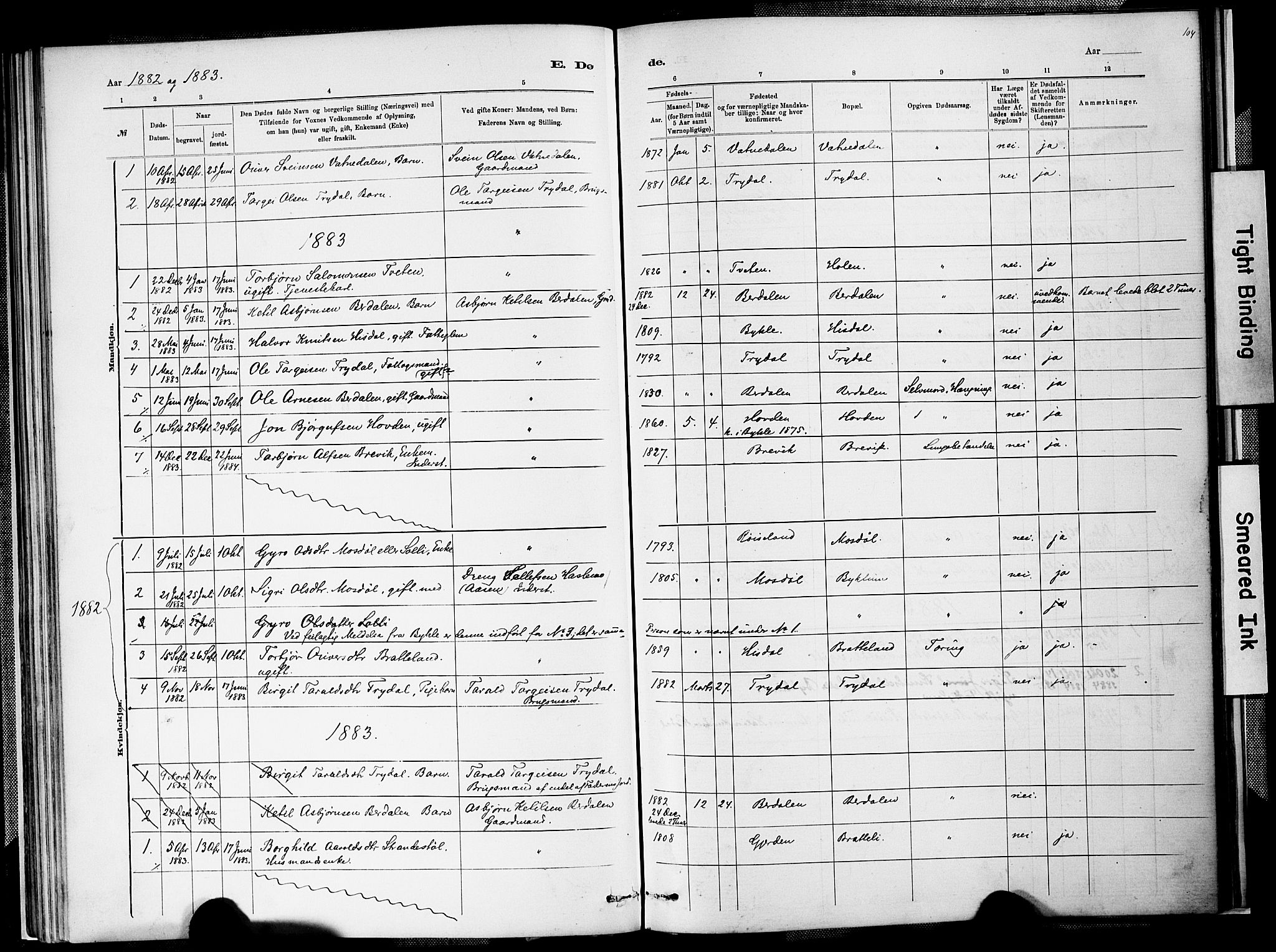 Valle sokneprestkontor, SAK/1111-0044/F/Fa/Faa/L0001: Parish register (official) no. A 1, 1882-1907, p. 104