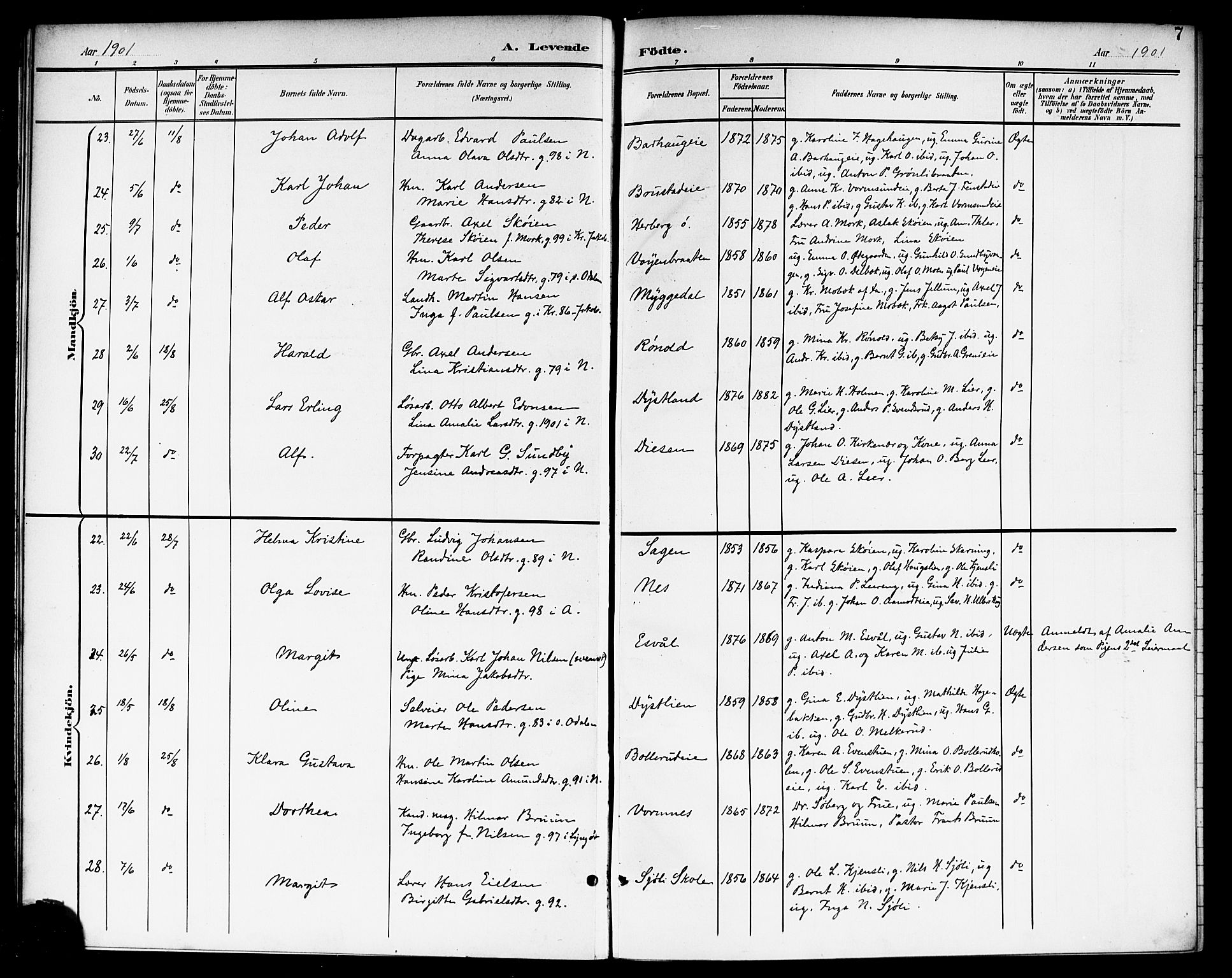 Nes prestekontor Kirkebøker, AV/SAO-A-10410/G/Ga/L0002: Parish register (copy) no. I 2, 1901-1912, p. 7