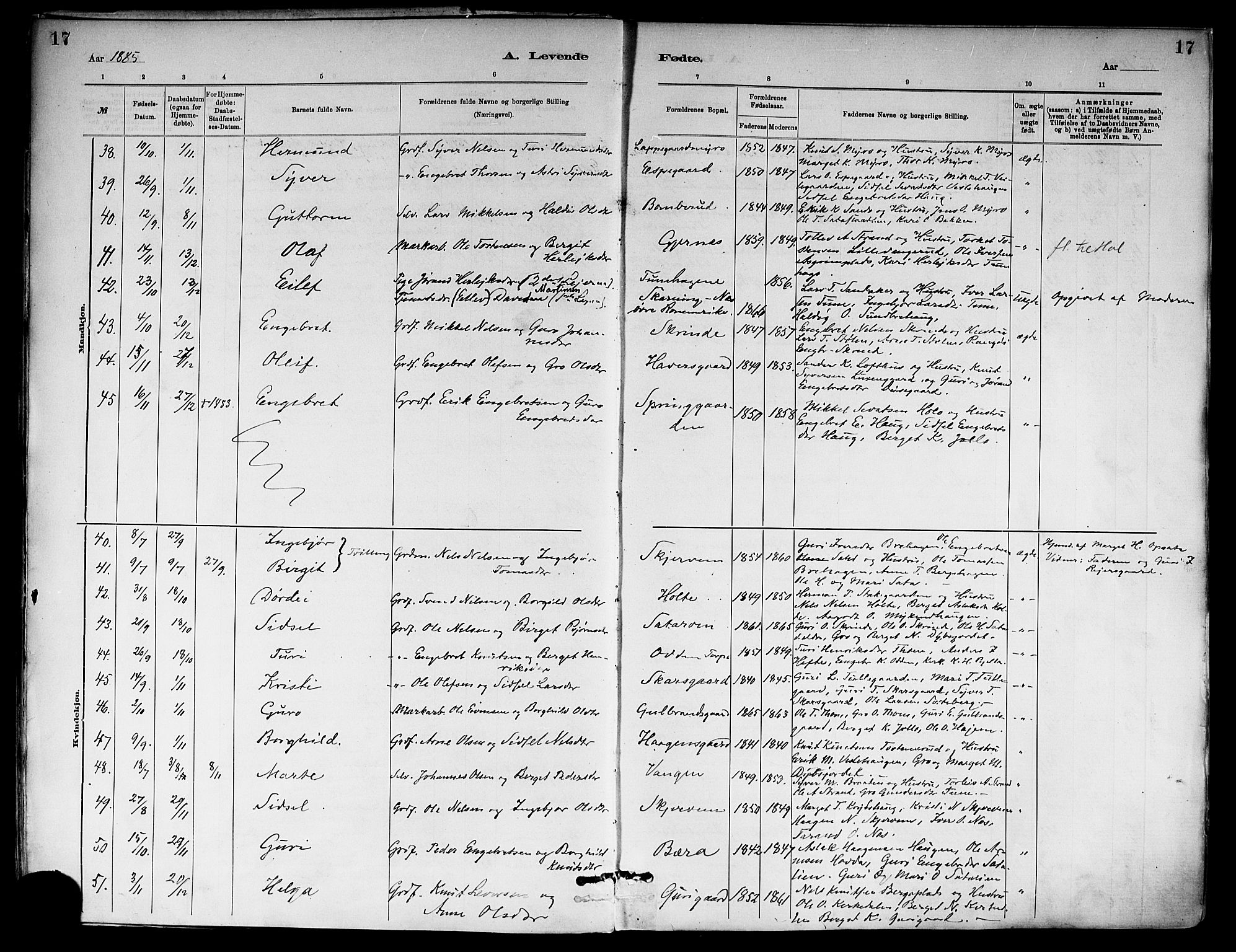 Ål kirkebøker, SAKO/A-249/F/Fa/L0008: Parish register (official) no. I 8, 1882-1896, p. 17