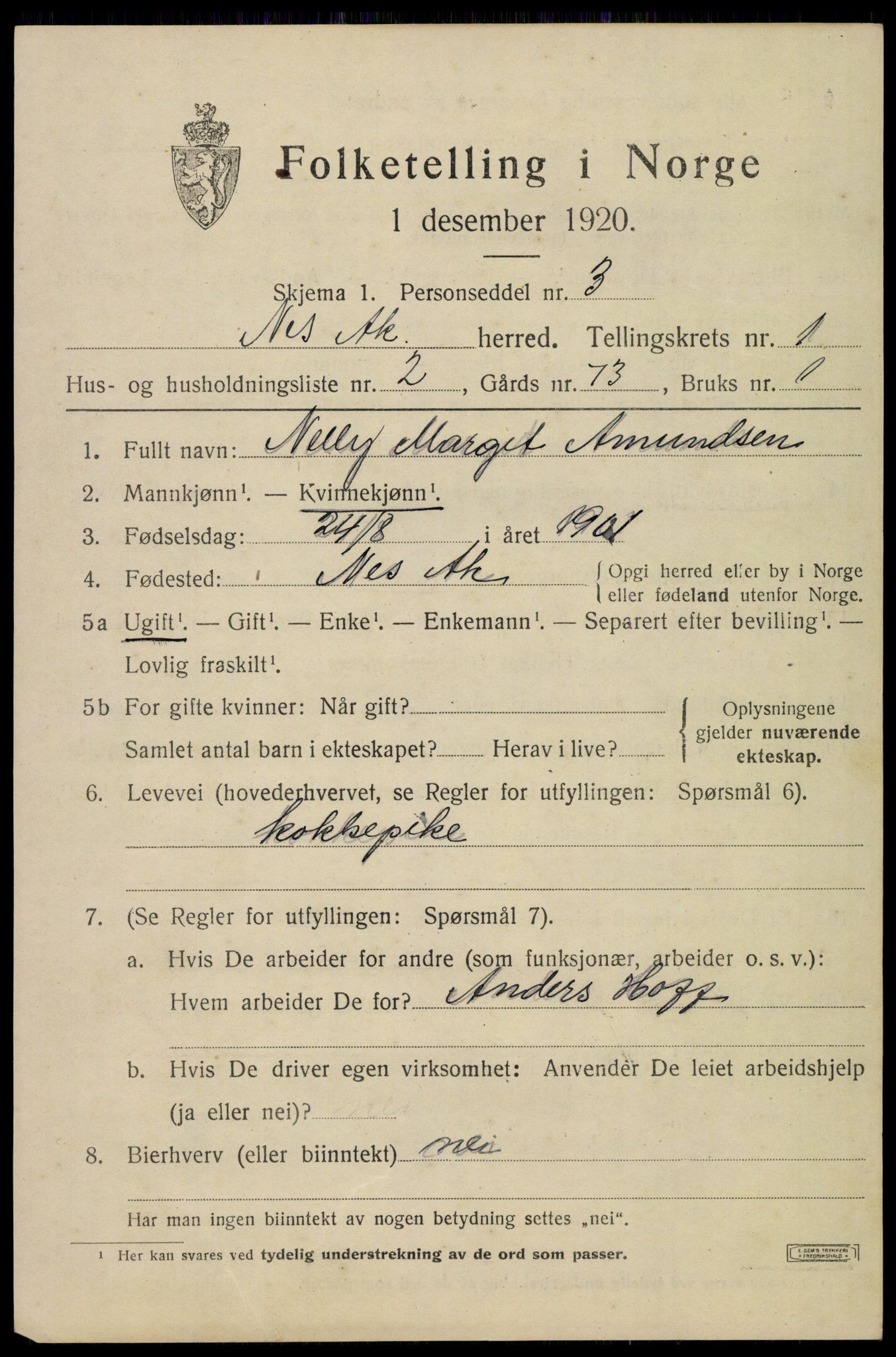 SAO, 1920 census for Nes, 1920, p. 3400