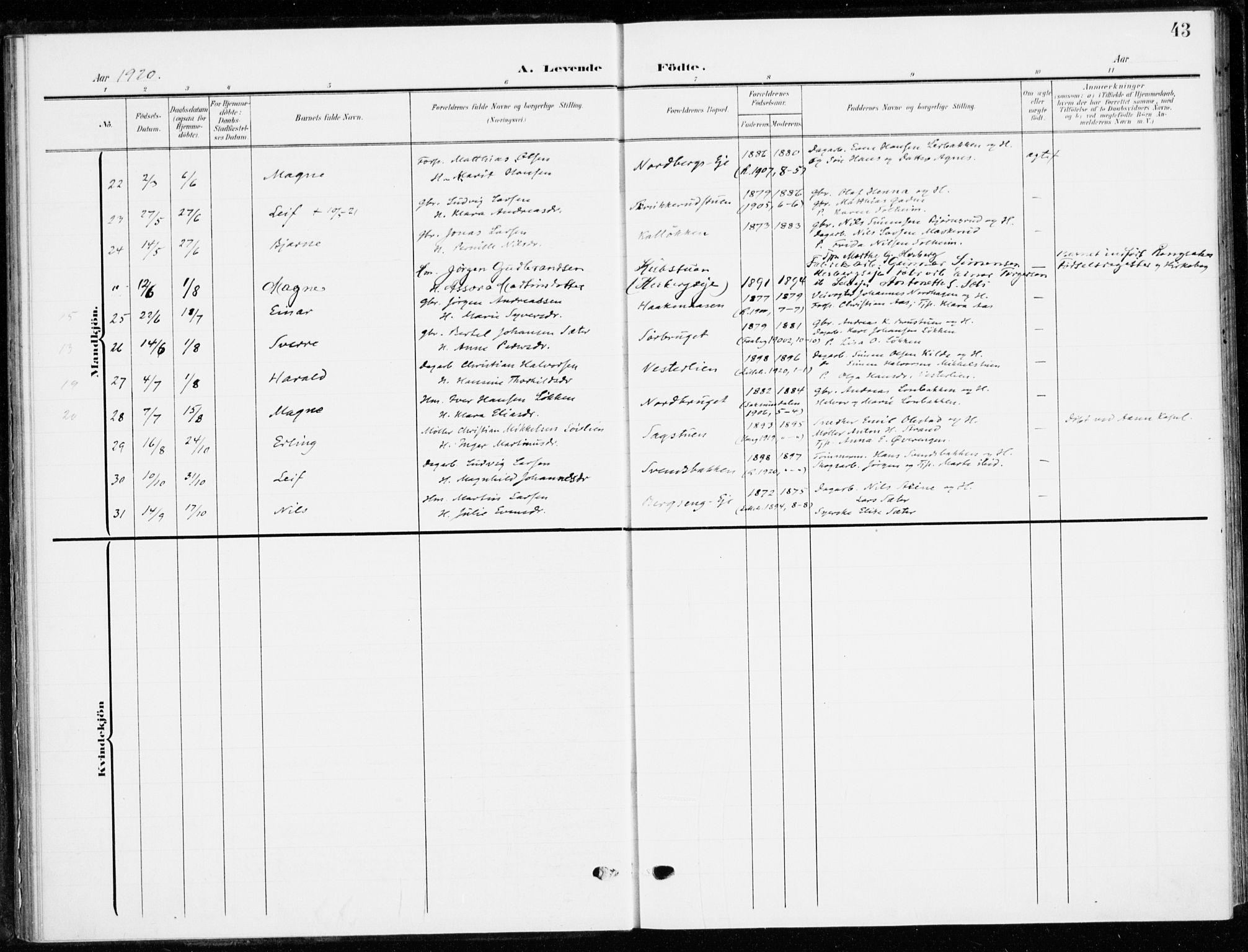 Ringsaker prestekontor, AV/SAH-PREST-014/K/Ka/L0021: Parish register (official) no. 21, 1905-1920, p. 43