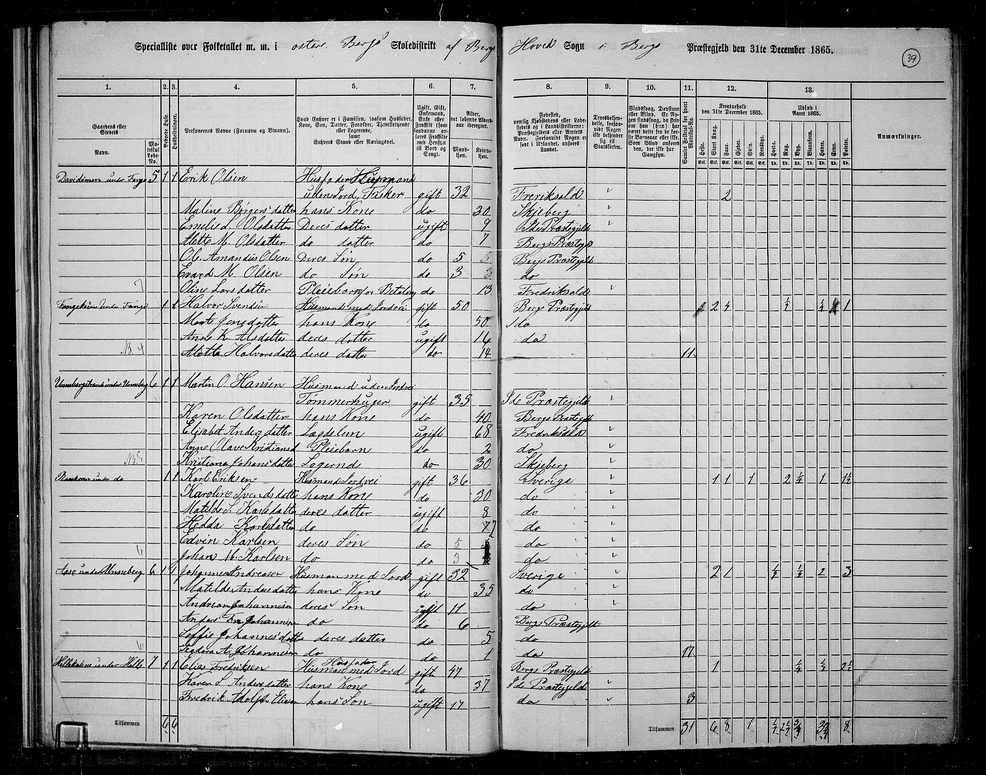 RA, 1865 census for Berg, 1865, p. 36