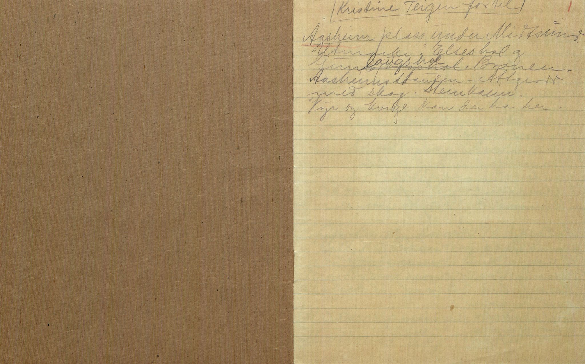 Rikard Berge, TEMU/TGM-A-1003/F/L0017/0003: 551-599 / 553 Kviteseid soge, Signe Vesterdal, 1918, p. 1