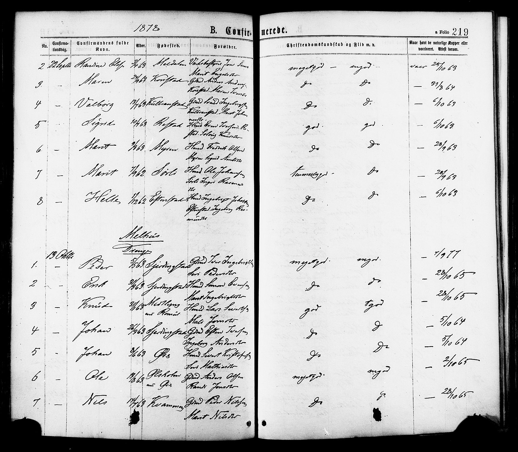 Ministerialprotokoller, klokkerbøker og fødselsregistre - Sør-Trøndelag, AV/SAT-A-1456/691/L1079: Parish register (official) no. 691A11, 1873-1886, p. 219