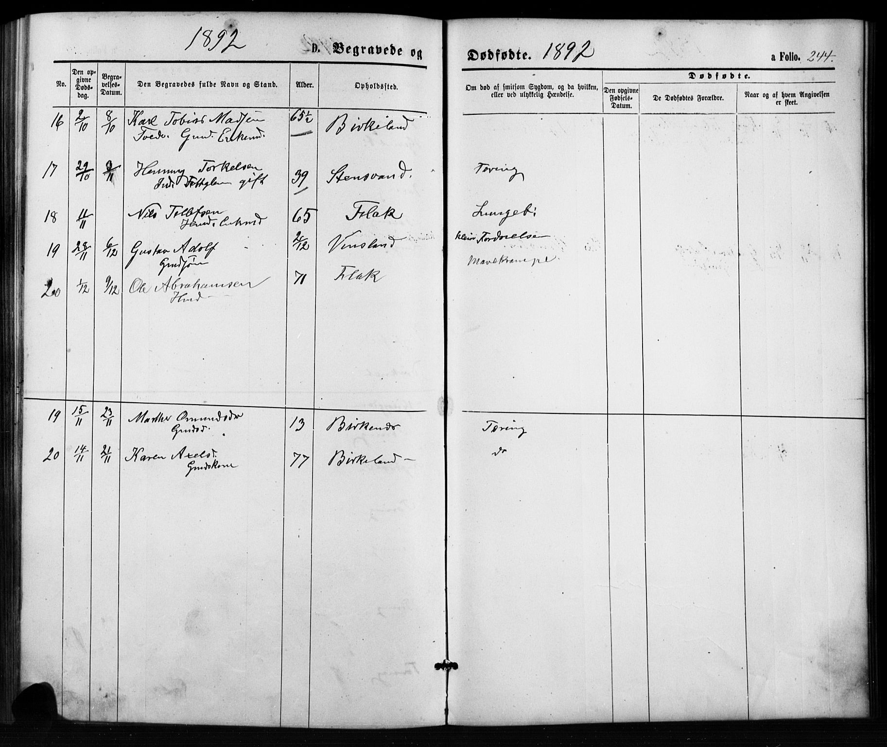 Birkenes sokneprestkontor, SAK/1111-0004/F/Fb/L0003: Parish register (copy) no. B 3, 1876-1892, p. 244