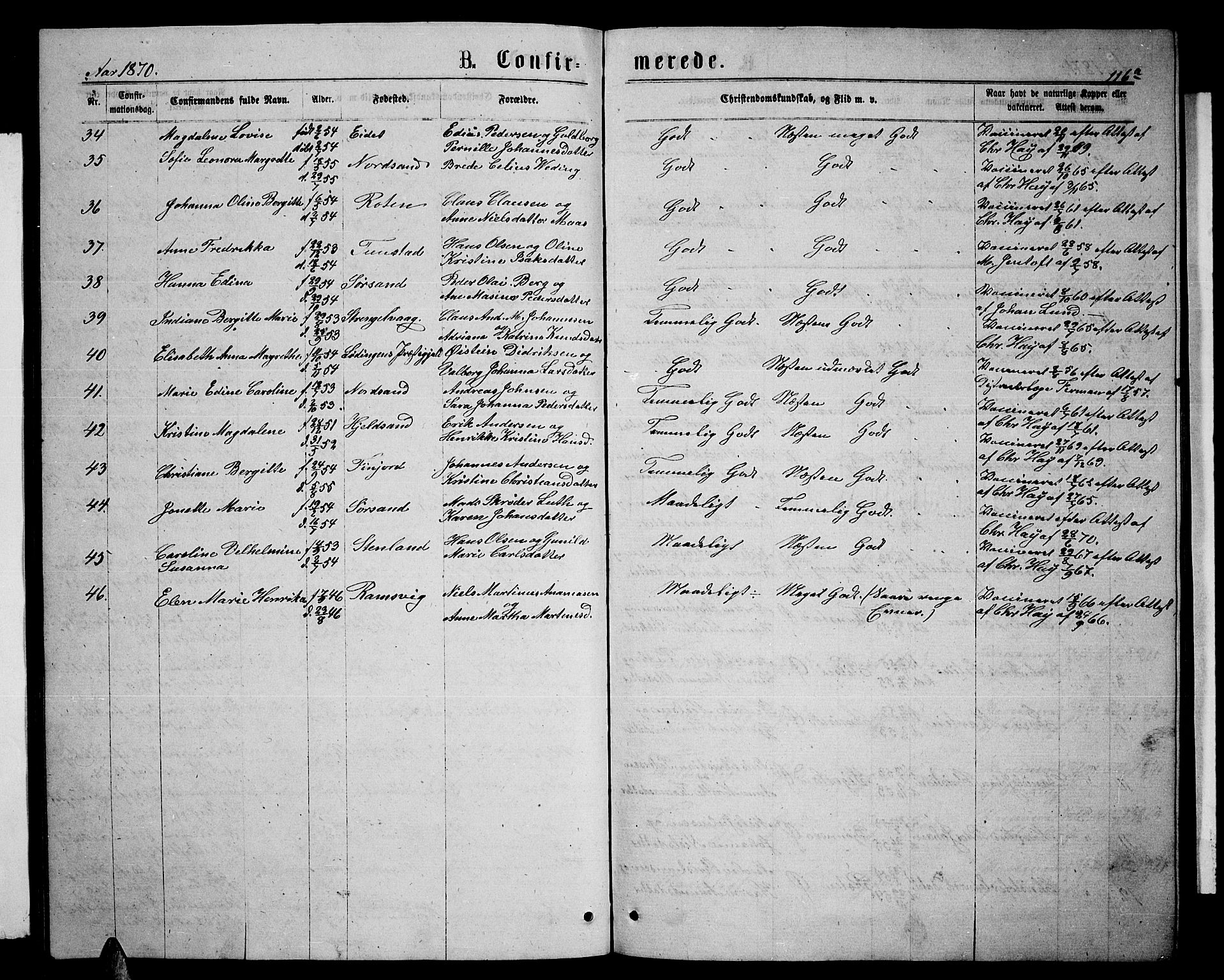 Ministerialprotokoller, klokkerbøker og fødselsregistre - Nordland, AV/SAT-A-1459/893/L1348: Parish register (copy) no. 893C03, 1867-1877, p. 116a