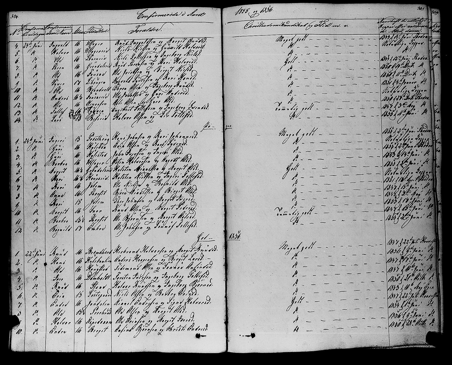 Gol kirkebøker, SAKO/A-226/F/Fa/L0002: Parish register (official) no. I 2, 1837-1863, p. 304-305