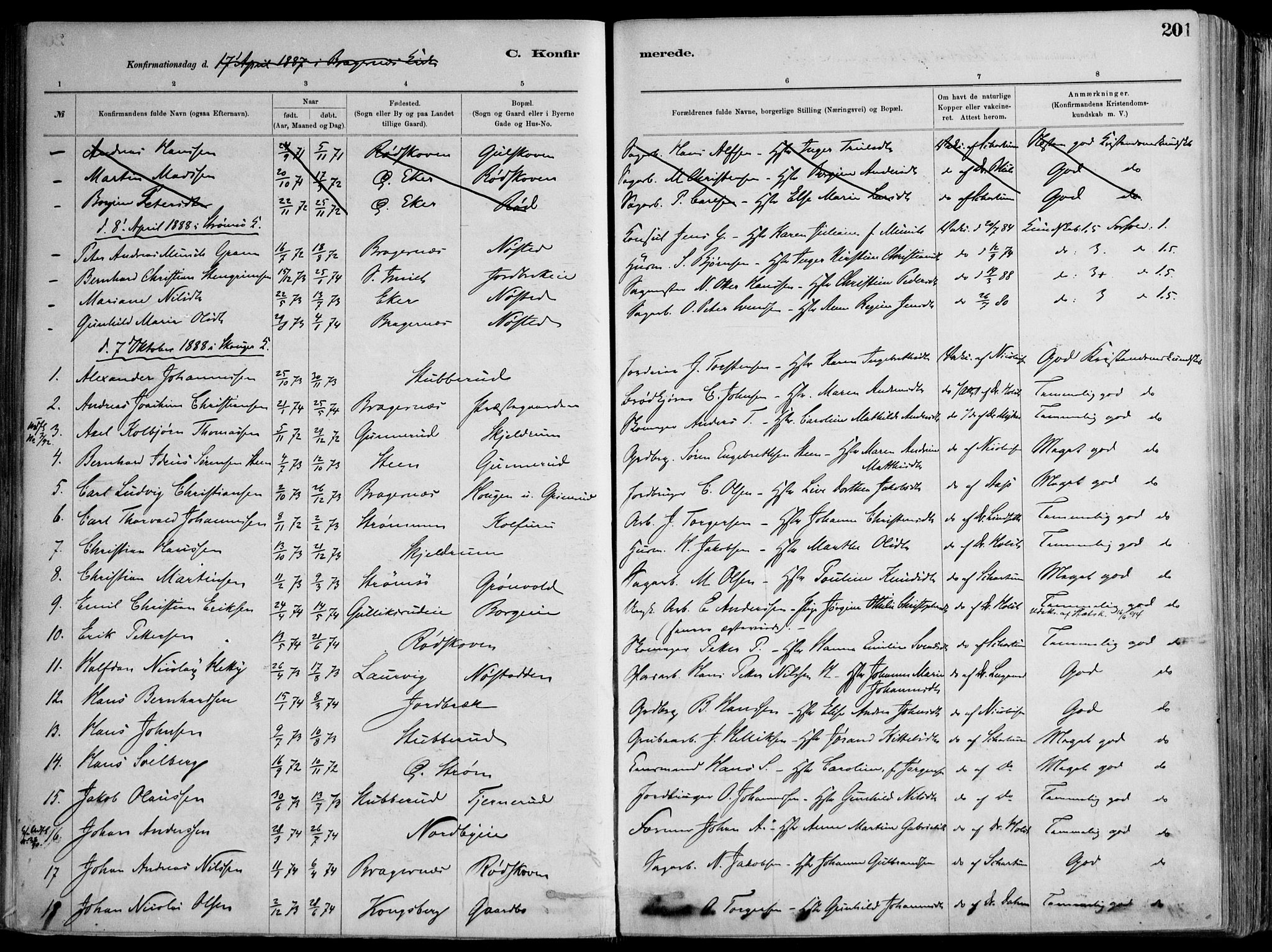 Skoger kirkebøker, AV/SAKO-A-59/F/Fa/L0006: Parish register (official) no. I 6, 1885-1910, p. 201