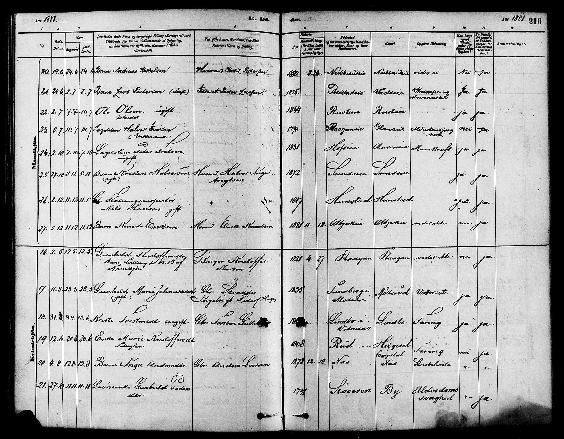 Sigdal kirkebøker, AV/SAKO-A-245/F/Fa/L0011: Parish register (official) no. I 11, 1879-1887, p. 216