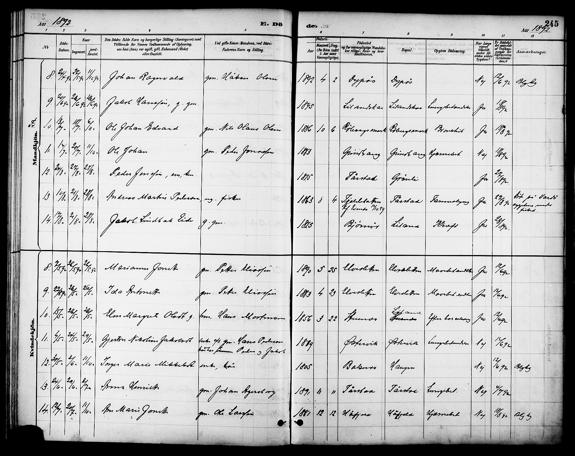 Ministerialprotokoller, klokkerbøker og fødselsregistre - Nordland, AV/SAT-A-1459/863/L0898: Parish register (official) no. 863A10, 1886-1897, p. 245