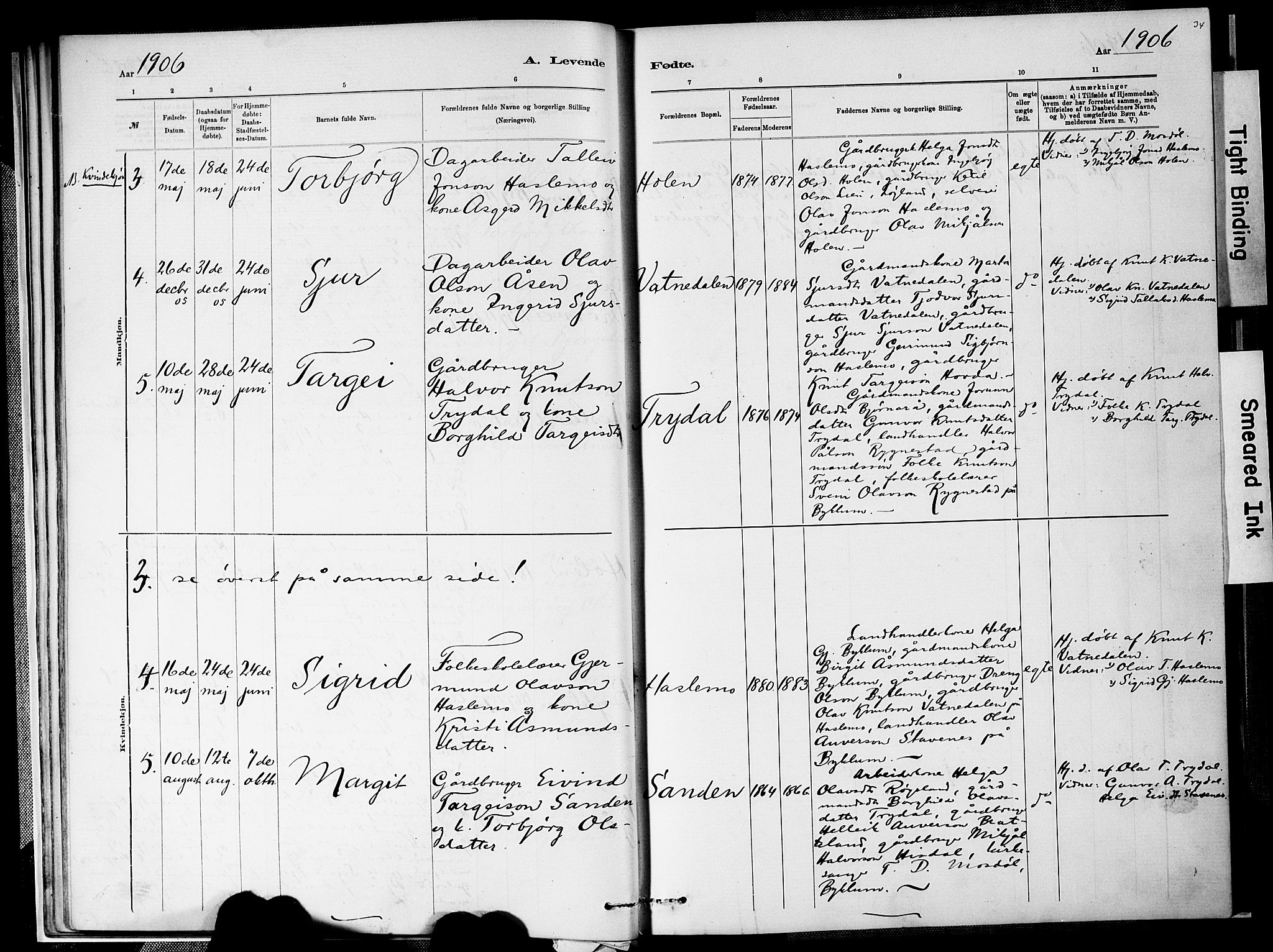 Valle sokneprestkontor, AV/SAK-1111-0044/F/Fa/Faa/L0001: Parish register (official) no. A 1, 1882-1907, p. 34