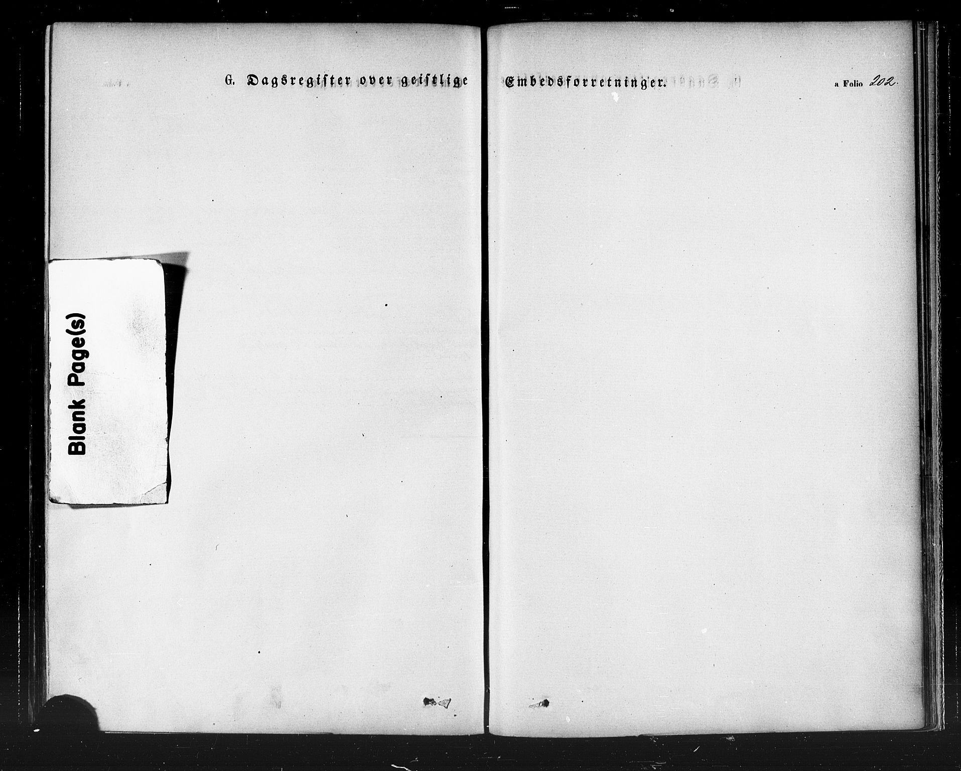 Hammerfest sokneprestkontor, SATØ/S-1347/H/Ha/L0007.kirke: Parish register (official) no. 7, 1869-1884, p. 202