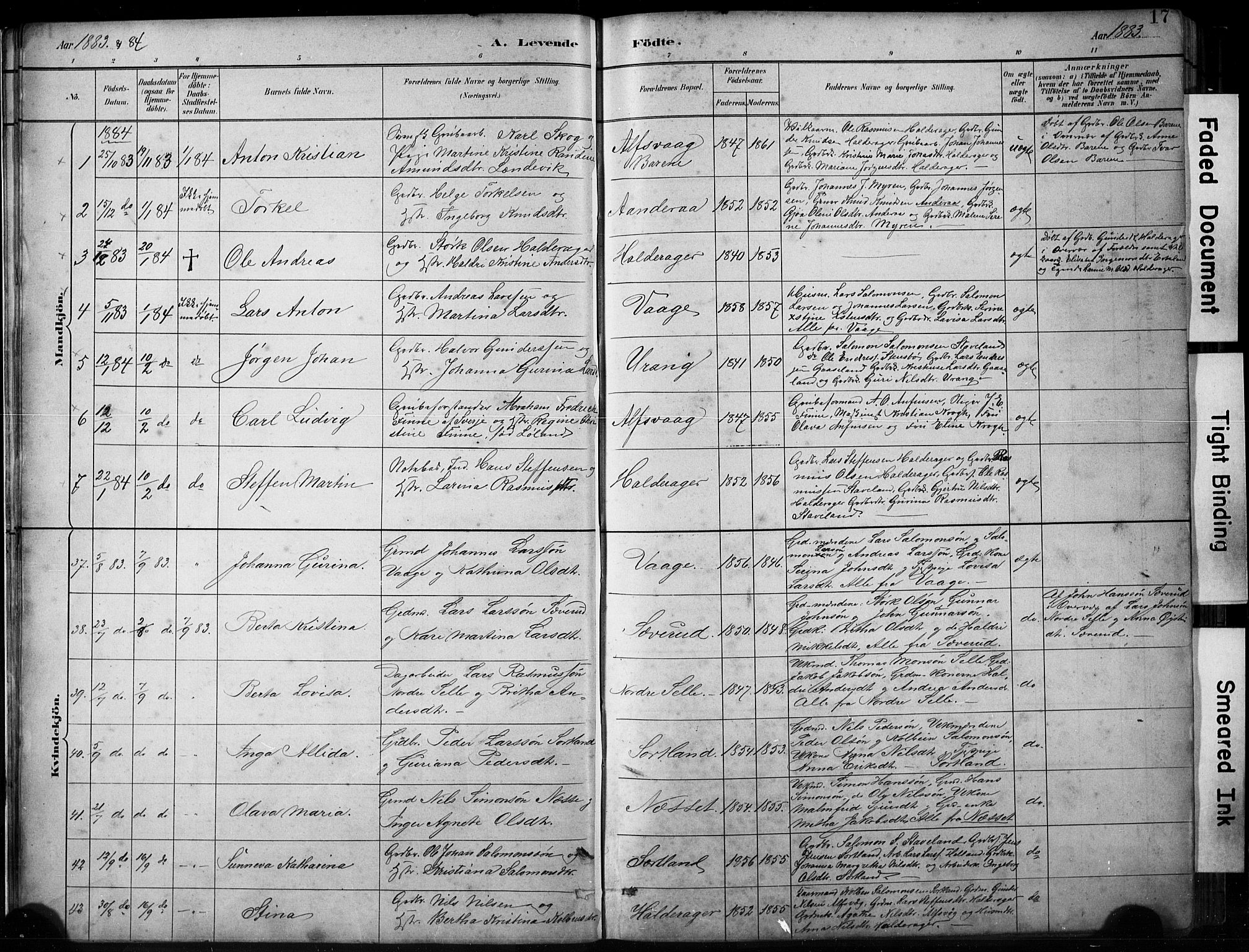 Finnås sokneprestembete, SAB/A-99925/H/Ha/Hab/Habb/L0003: Parish register (copy) no. B 3, 1882-1897, p. 17