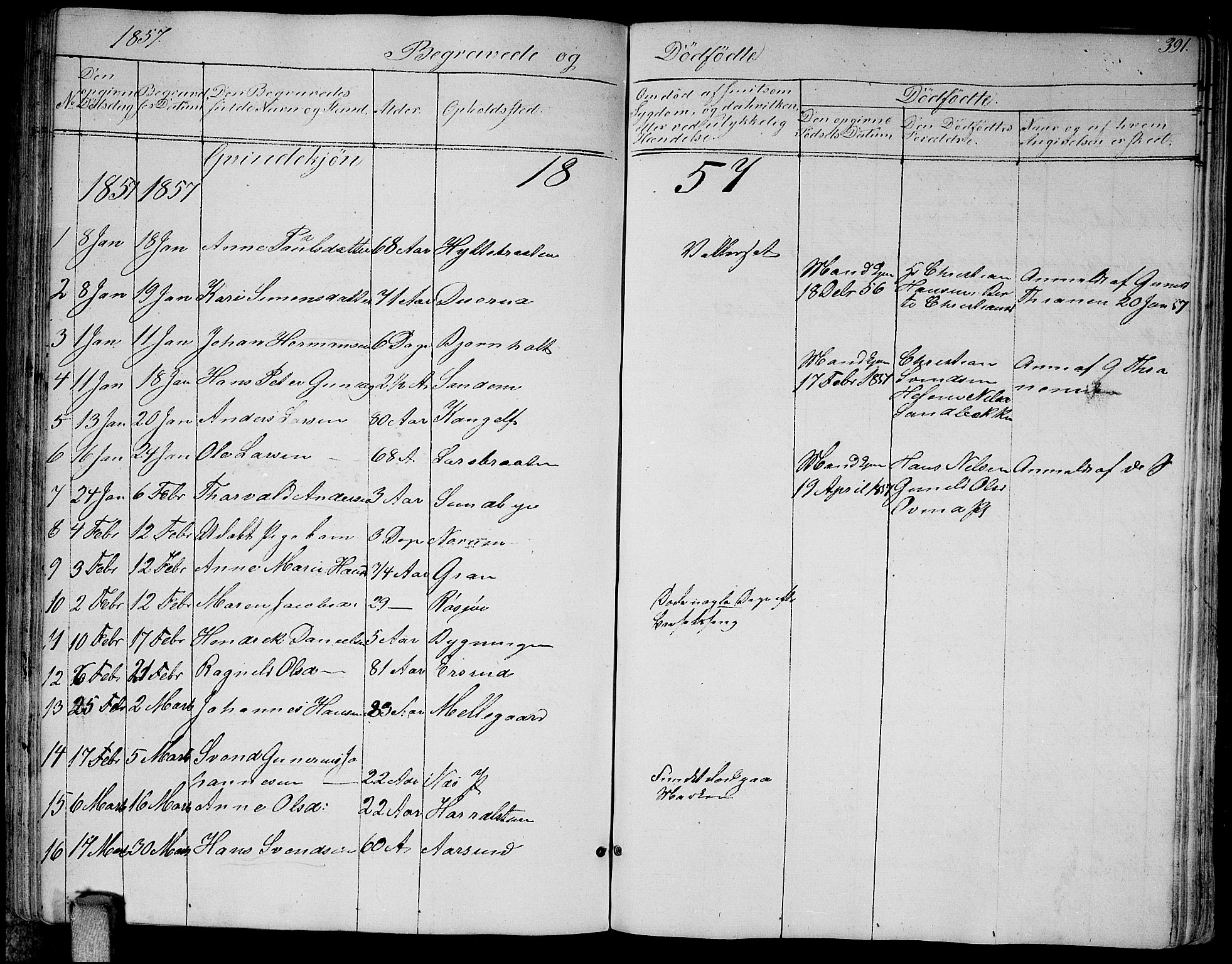 Enebakk prestekontor Kirkebøker, SAO/A-10171c/G/Ga/L0004: Parish register (copy) no. I 4, 1850-1866, p. 391