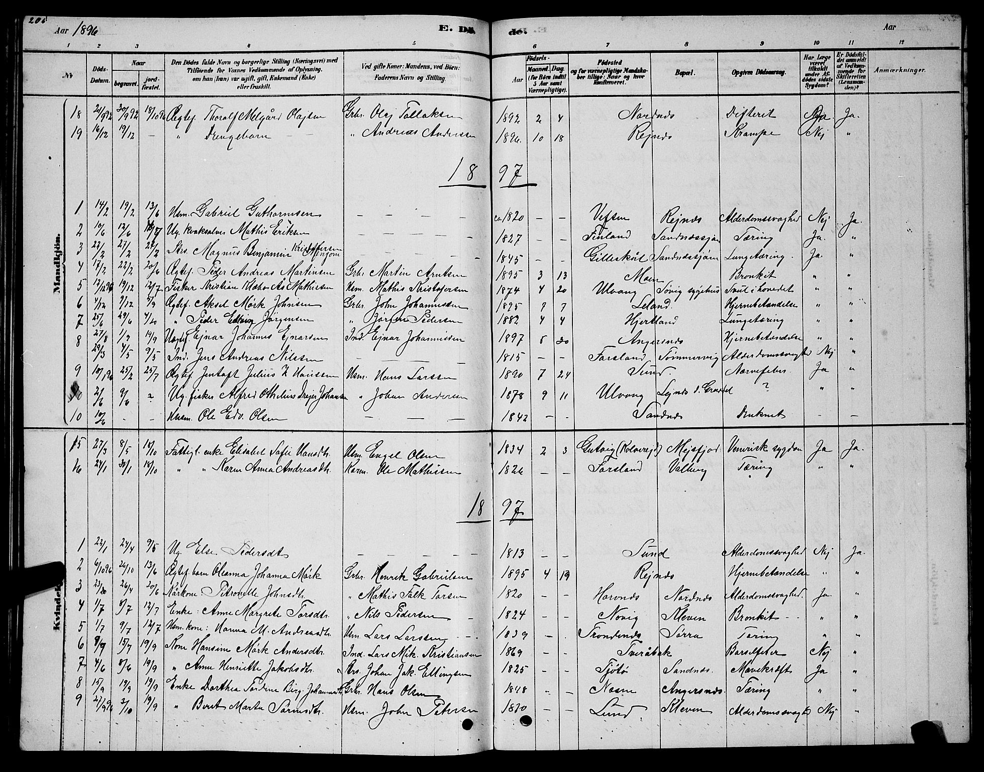 Ministerialprotokoller, klokkerbøker og fødselsregistre - Nordland, AV/SAT-A-1459/831/L0477: Parish register (copy) no. 831C04, 1878-1897, p. 206