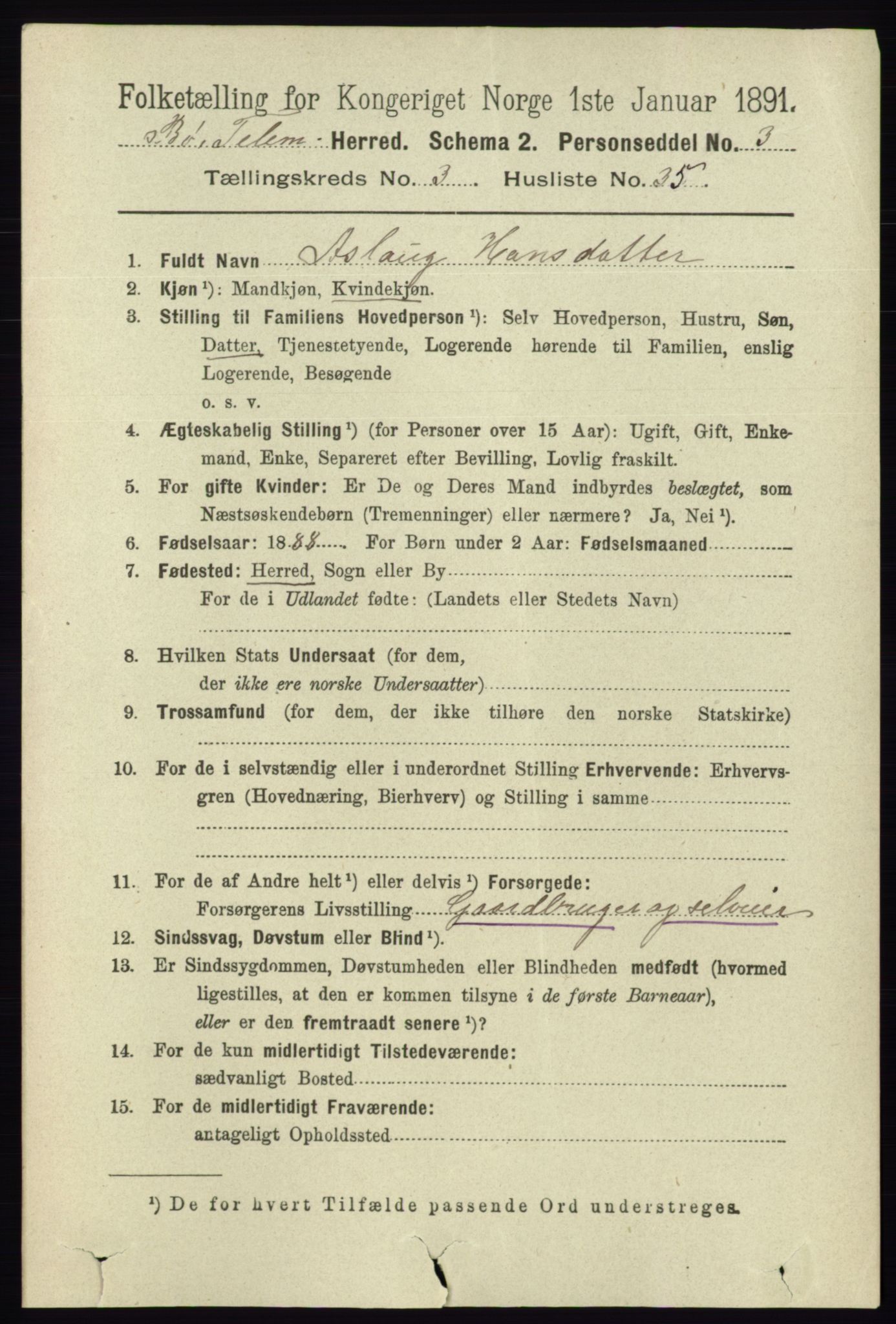 RA, 1891 census for 0821 Bø, 1891, p. 1194