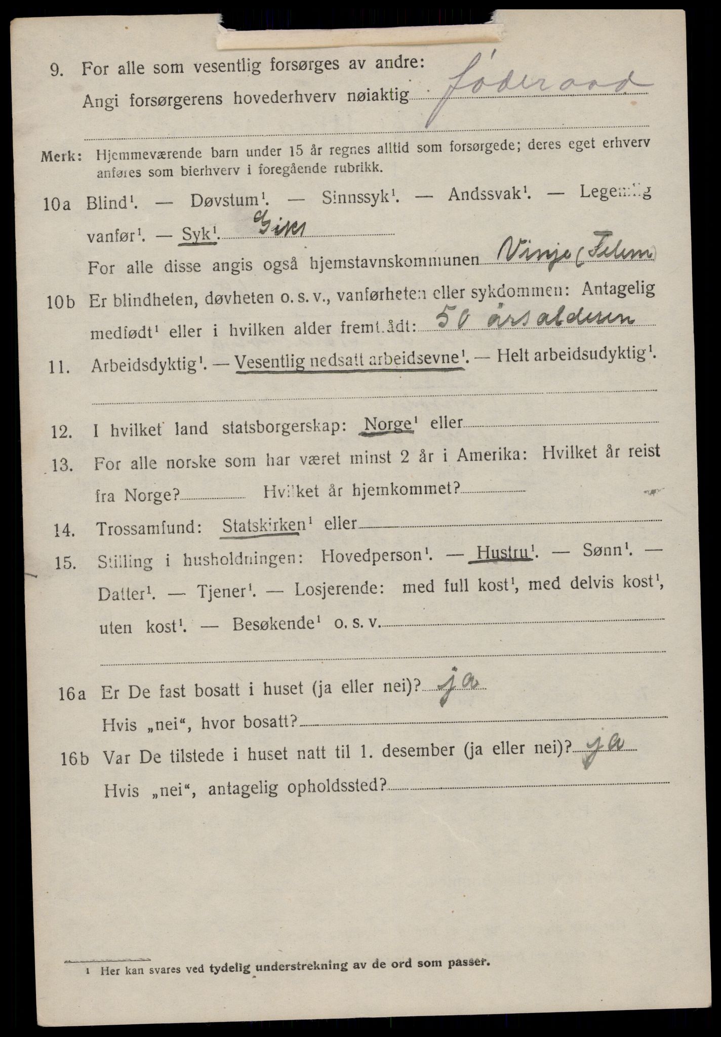 SAKO, 1920 census for Vinje, 1920, p. 2982