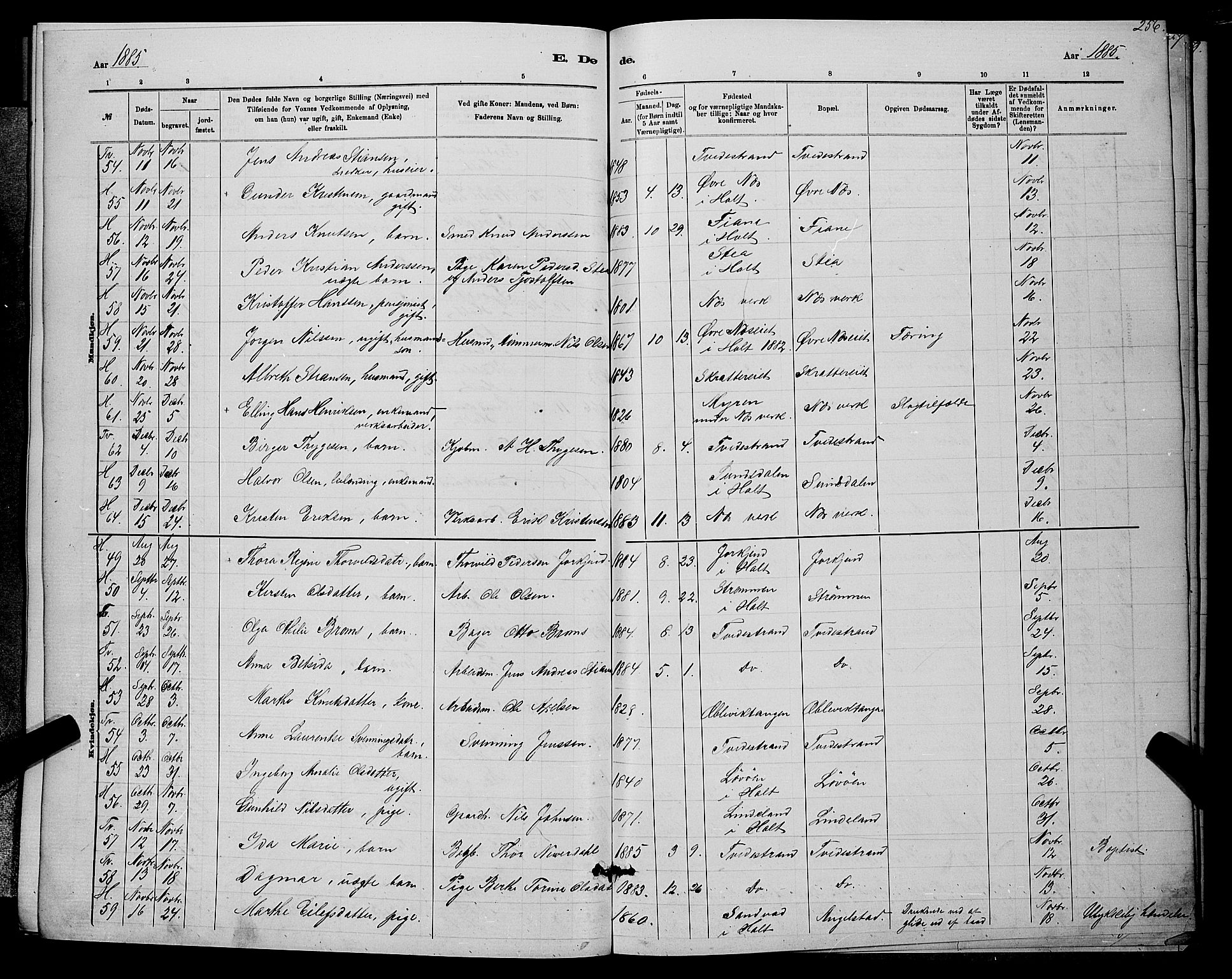 Holt sokneprestkontor, SAK/1111-0021/F/Fb/L0010: Parish register (copy) no. B 10, 1883-1896, p. 256