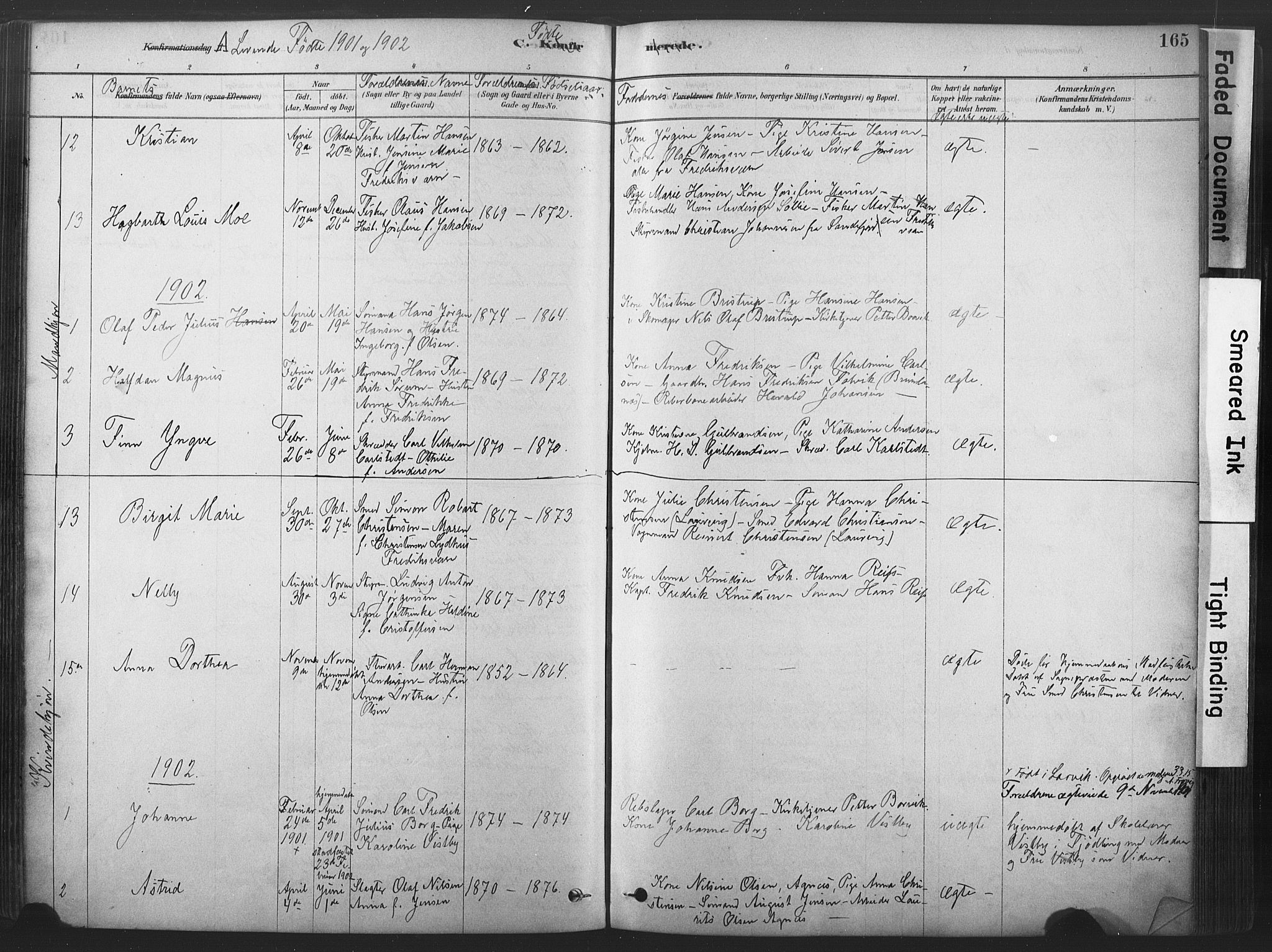 Stavern kirkebøker, SAKO/A-318/F/Fa/L0008: Parish register (official) no. 8, 1878-1905, p. 165