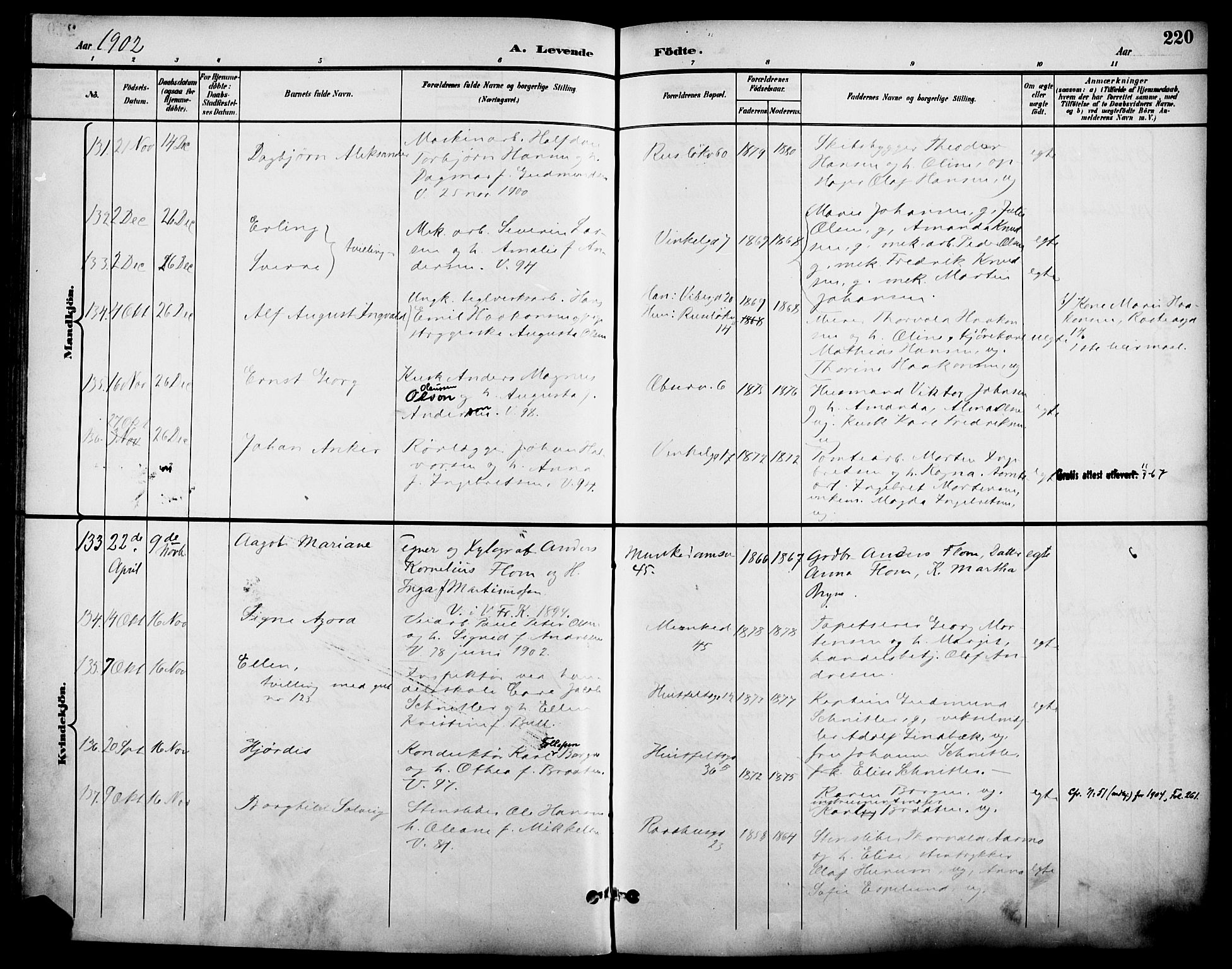 Johannes prestekontor Kirkebøker, SAO/A-10852/F/Fa/L0007: Parish register (official) no. 7, 1896-1905, p. 220