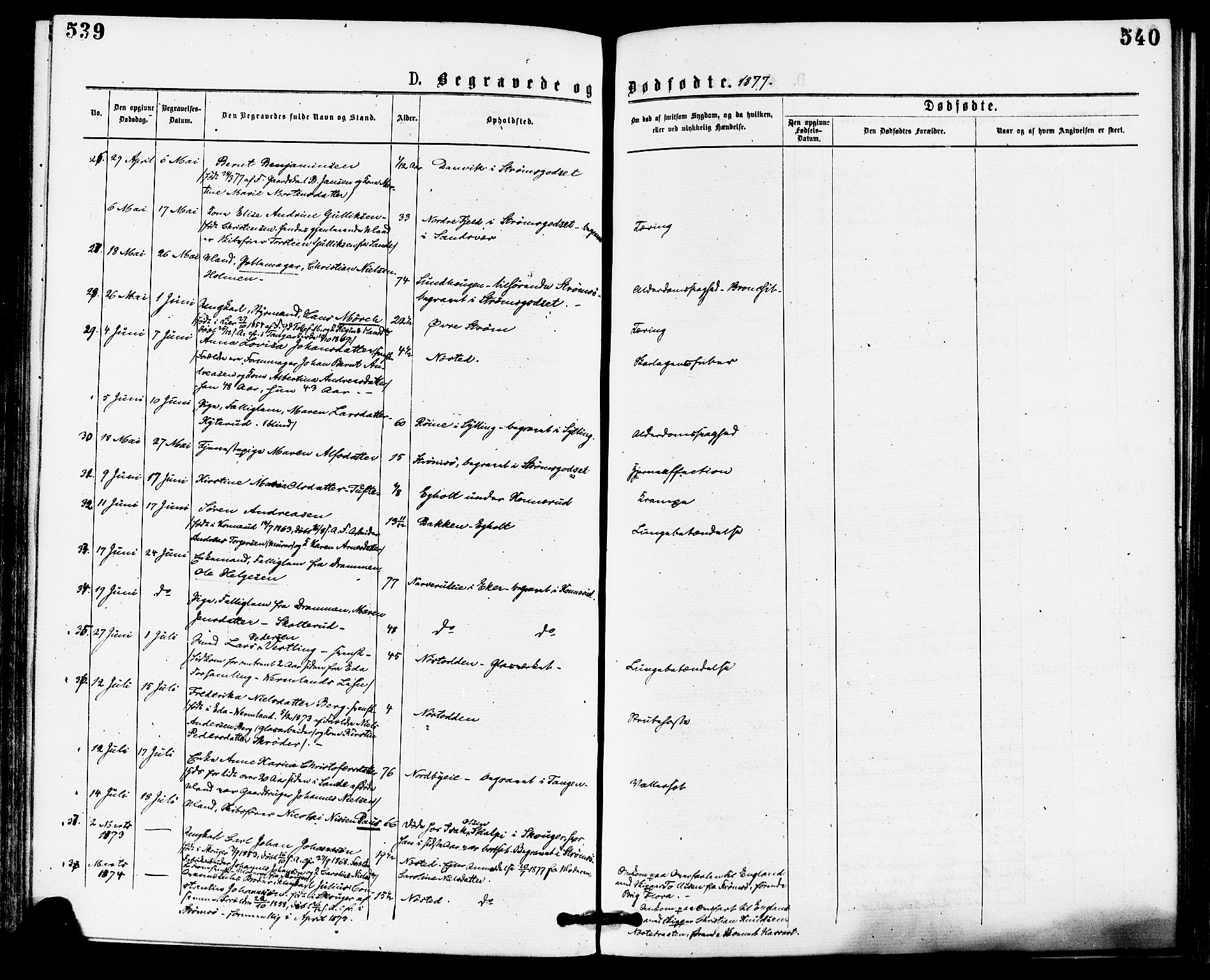 Skoger kirkebøker, AV/SAKO-A-59/F/Fa/L0005: Parish register (official) no. I 5, 1873-1884, p. 539-540