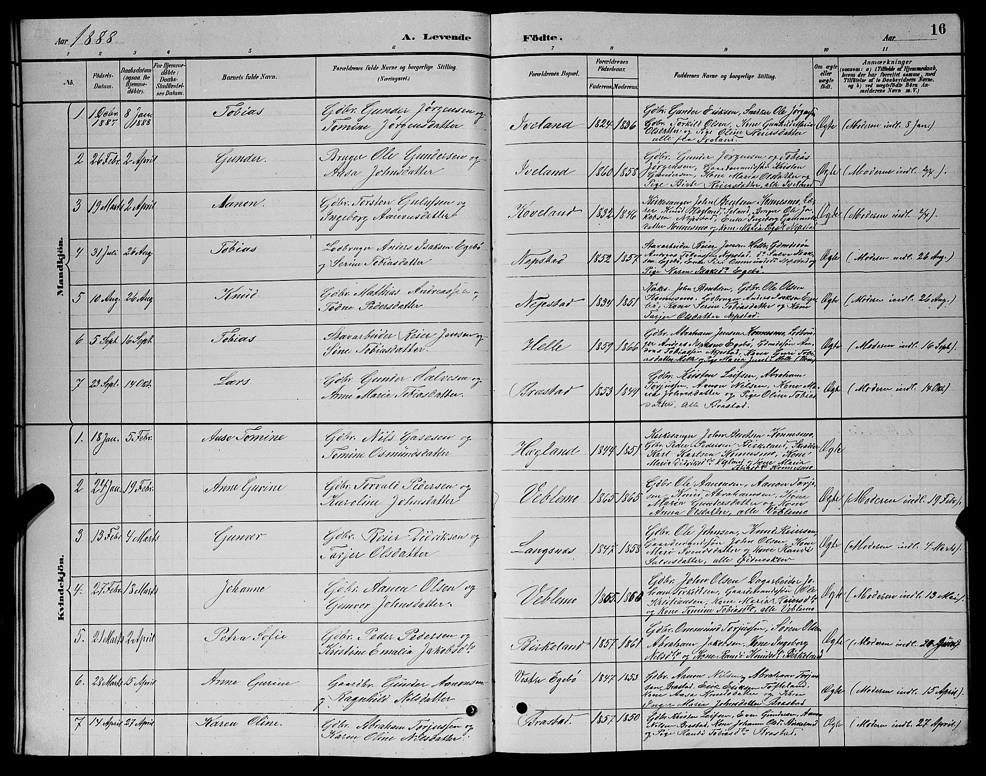 Nord-Audnedal sokneprestkontor, AV/SAK-1111-0032/F/Fb/Fba/L0003: Parish register (copy) no. B 3, 1881-1900, p. 16