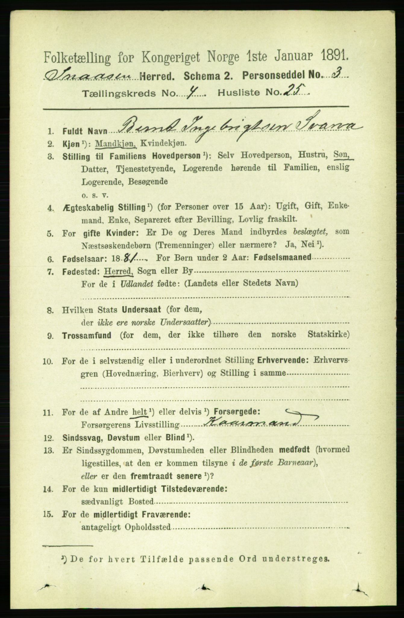 RA, 1891 census for 1736 Snåsa, 1891, p. 1249