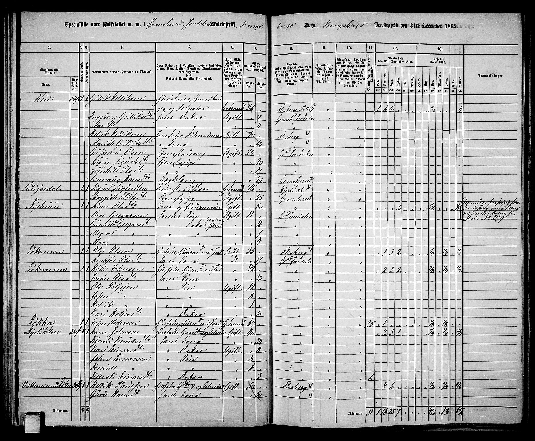 RA, 1865 census for Gransherad, 1865, p. 58